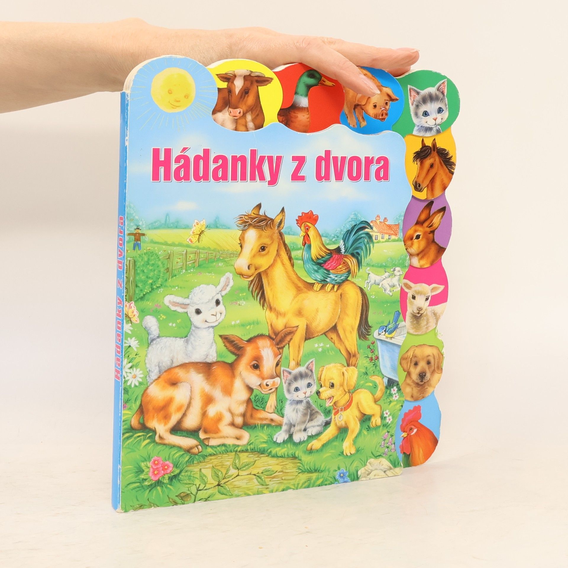 Kolektív autorov Hádanky z dvora