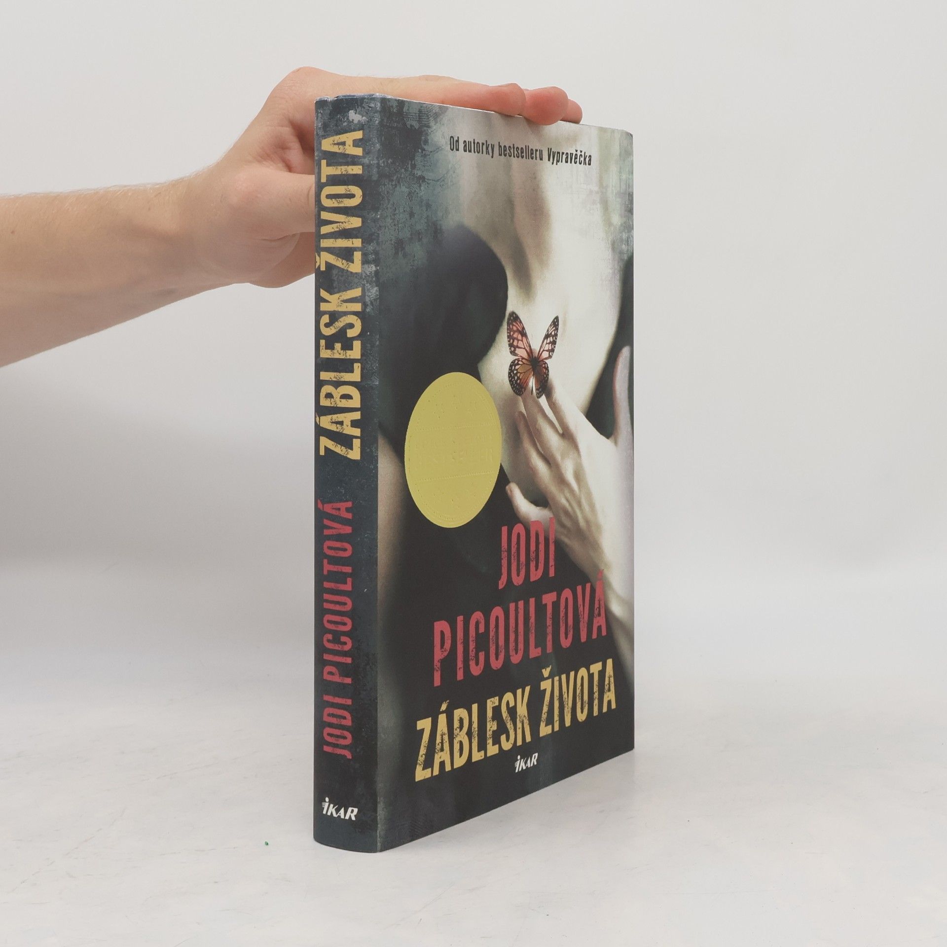 Jodi Picoult Záblesk života