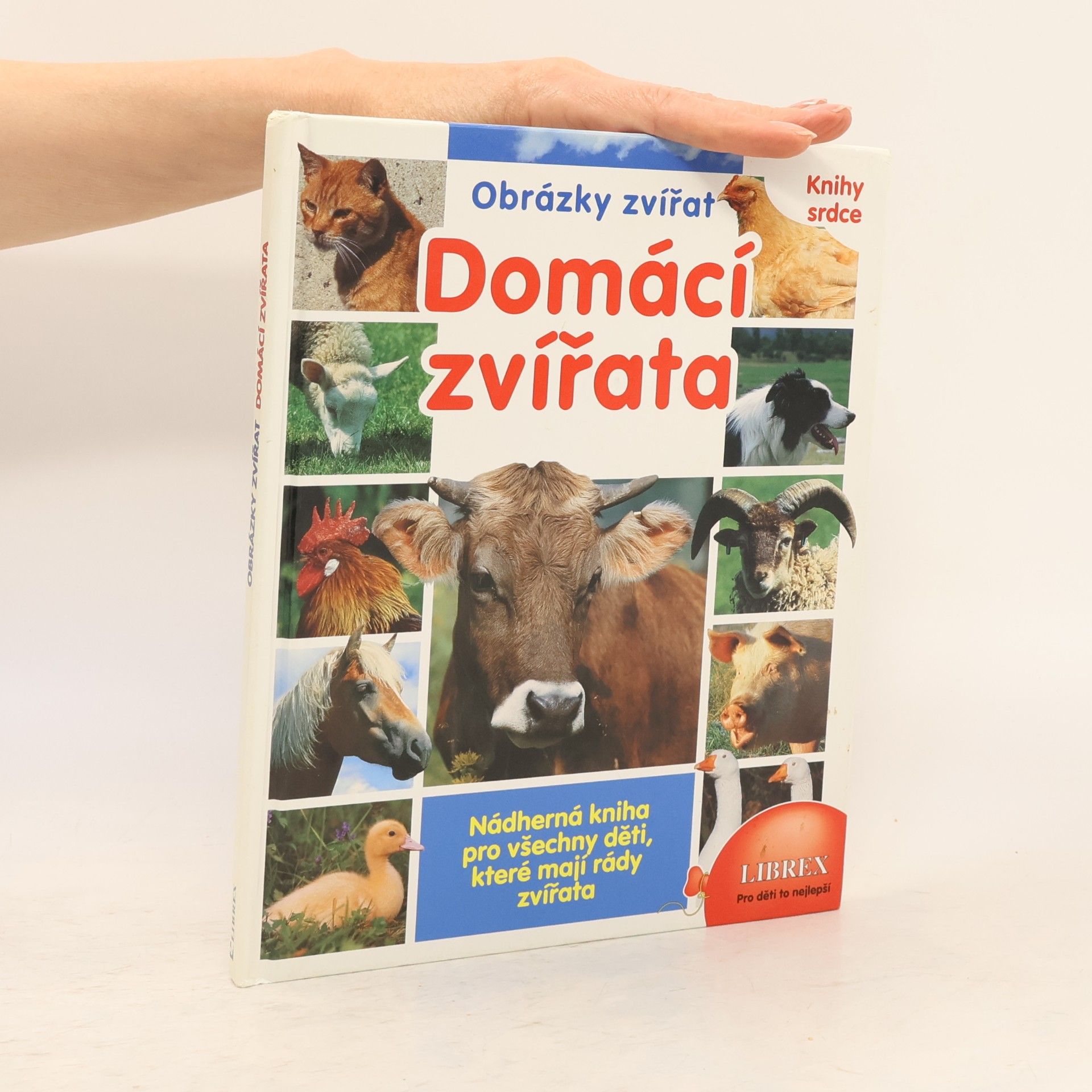 Various authors Domácí zvířata