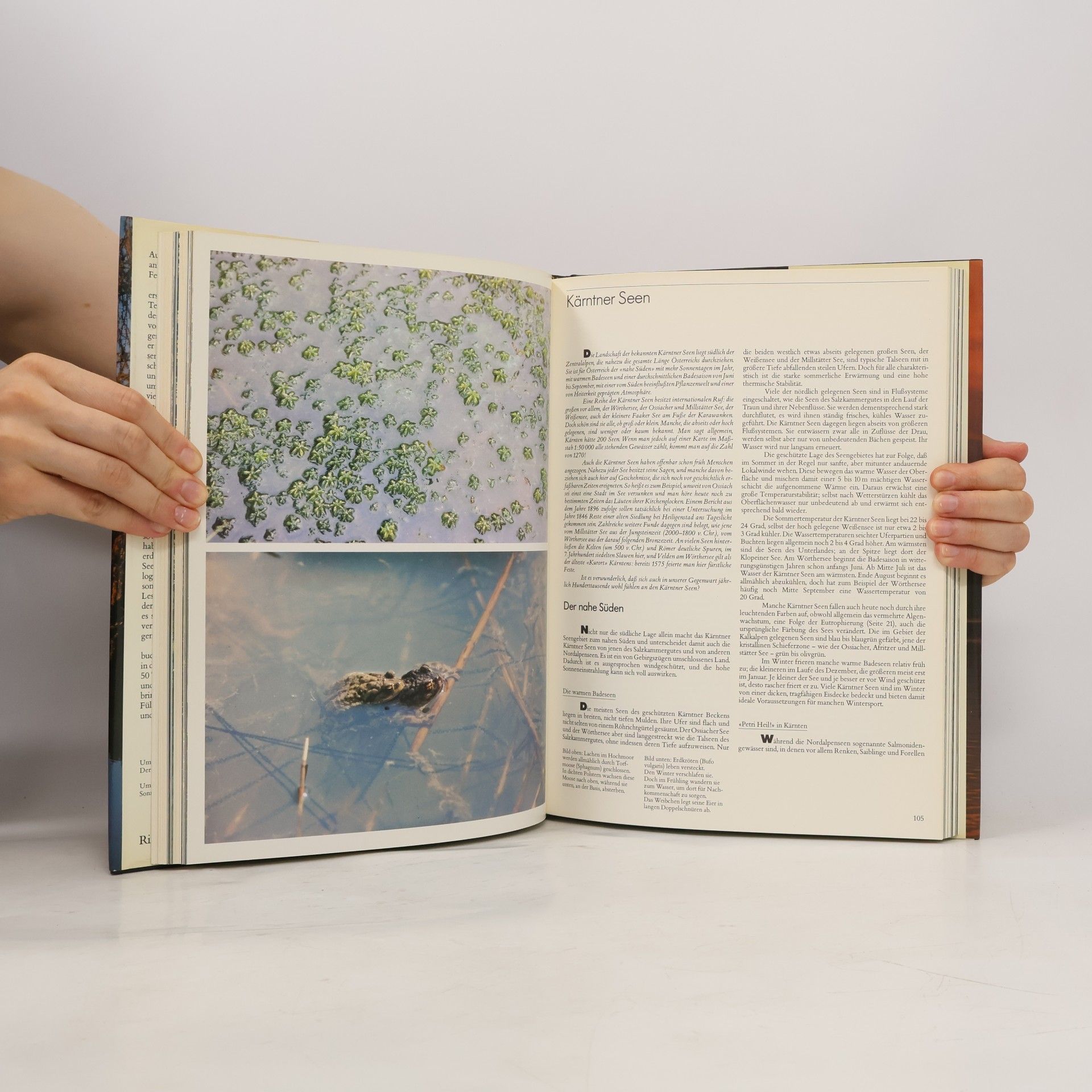 Collectif d'auteurs Österreich, ein Land der Seen