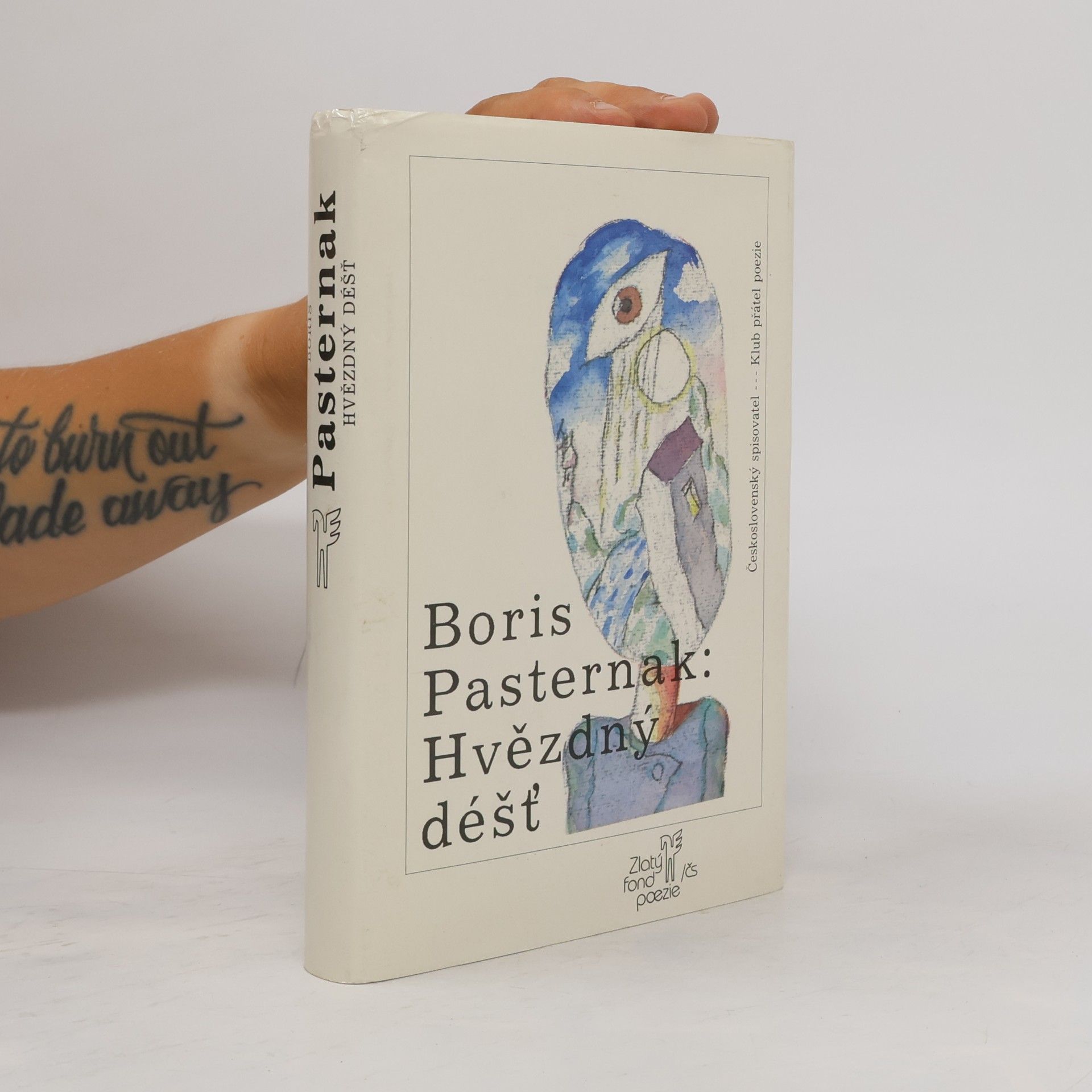 Pasternak Boris Hvězdný déšť