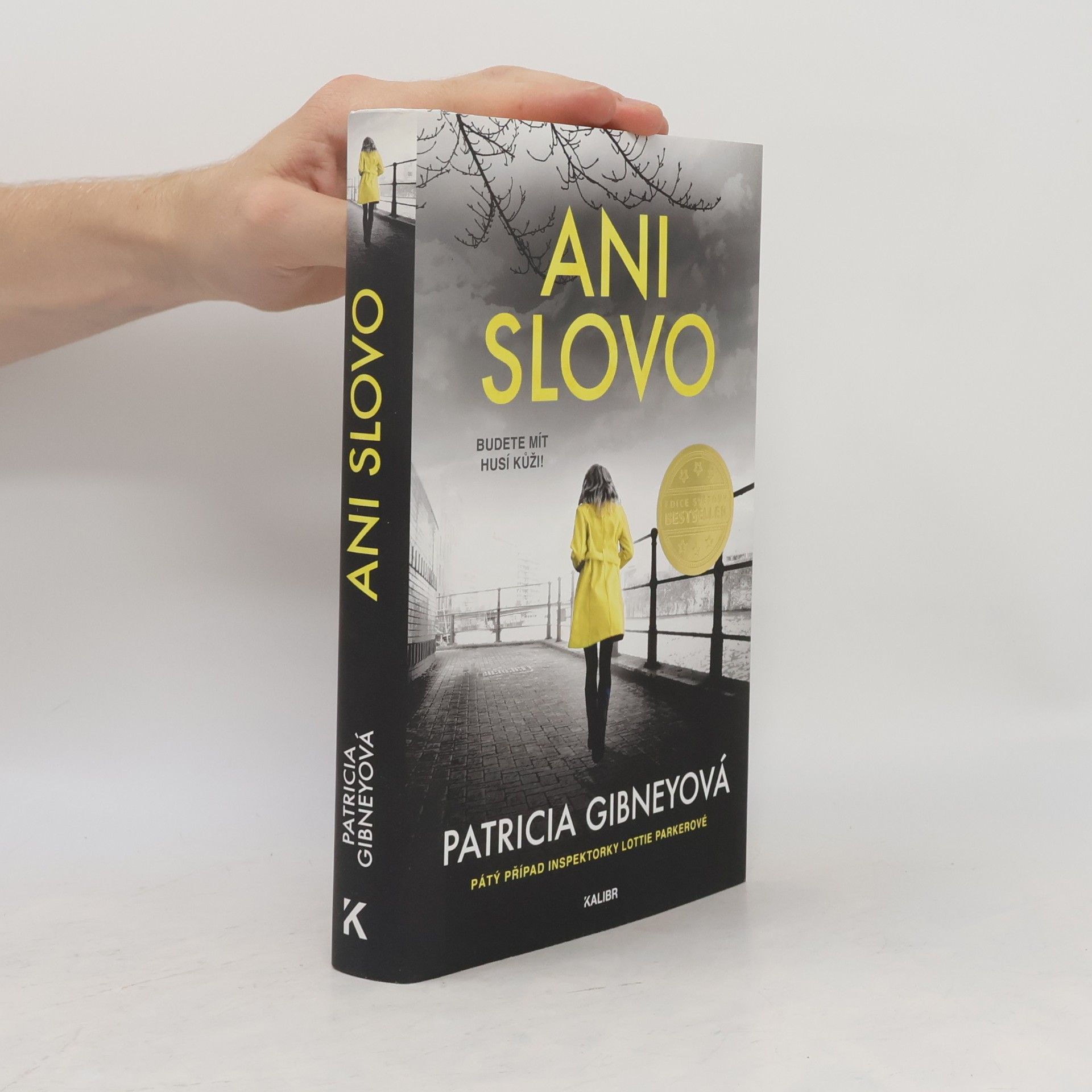 Patricia Gibney Ani slovo
