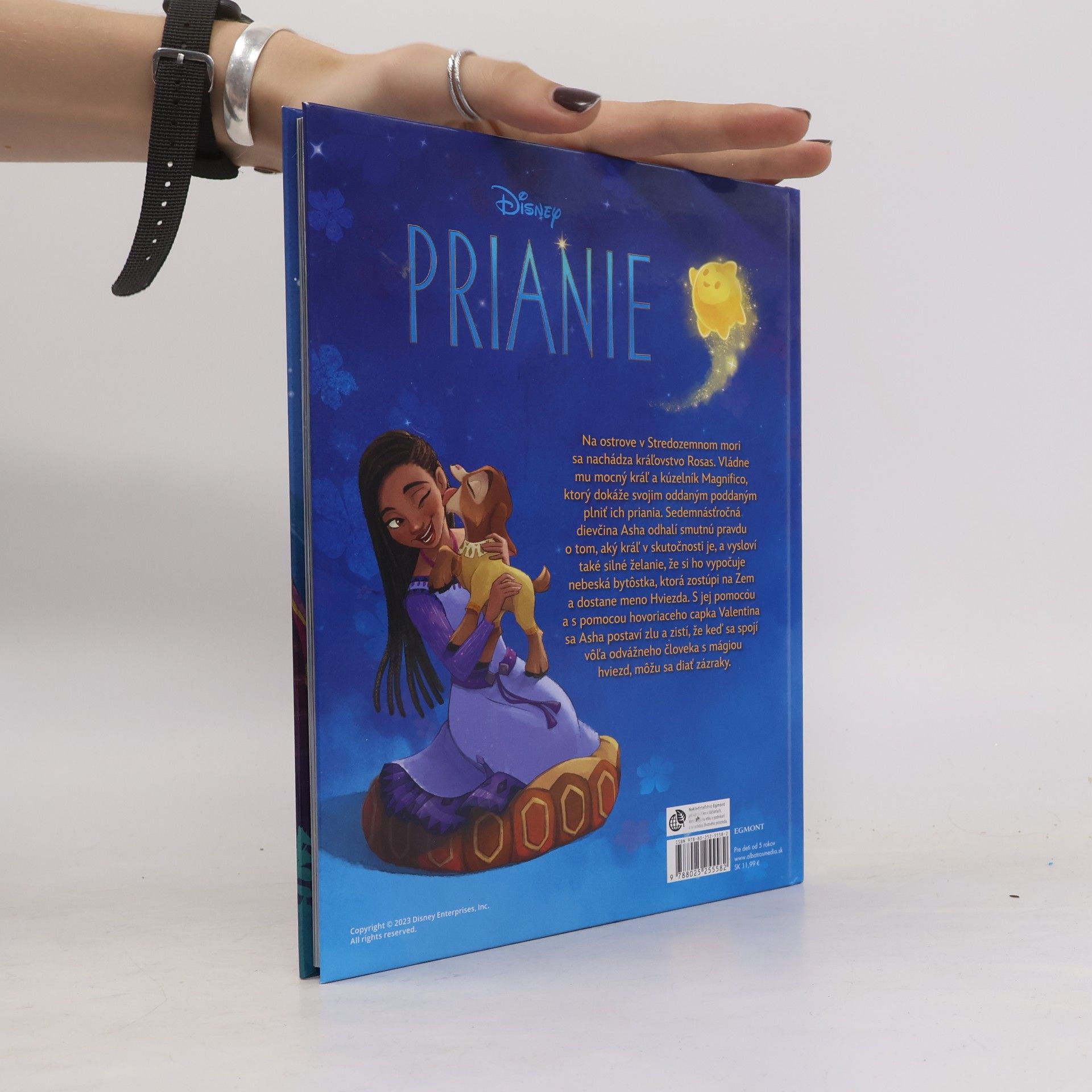 Kolektiv autorů Prianie