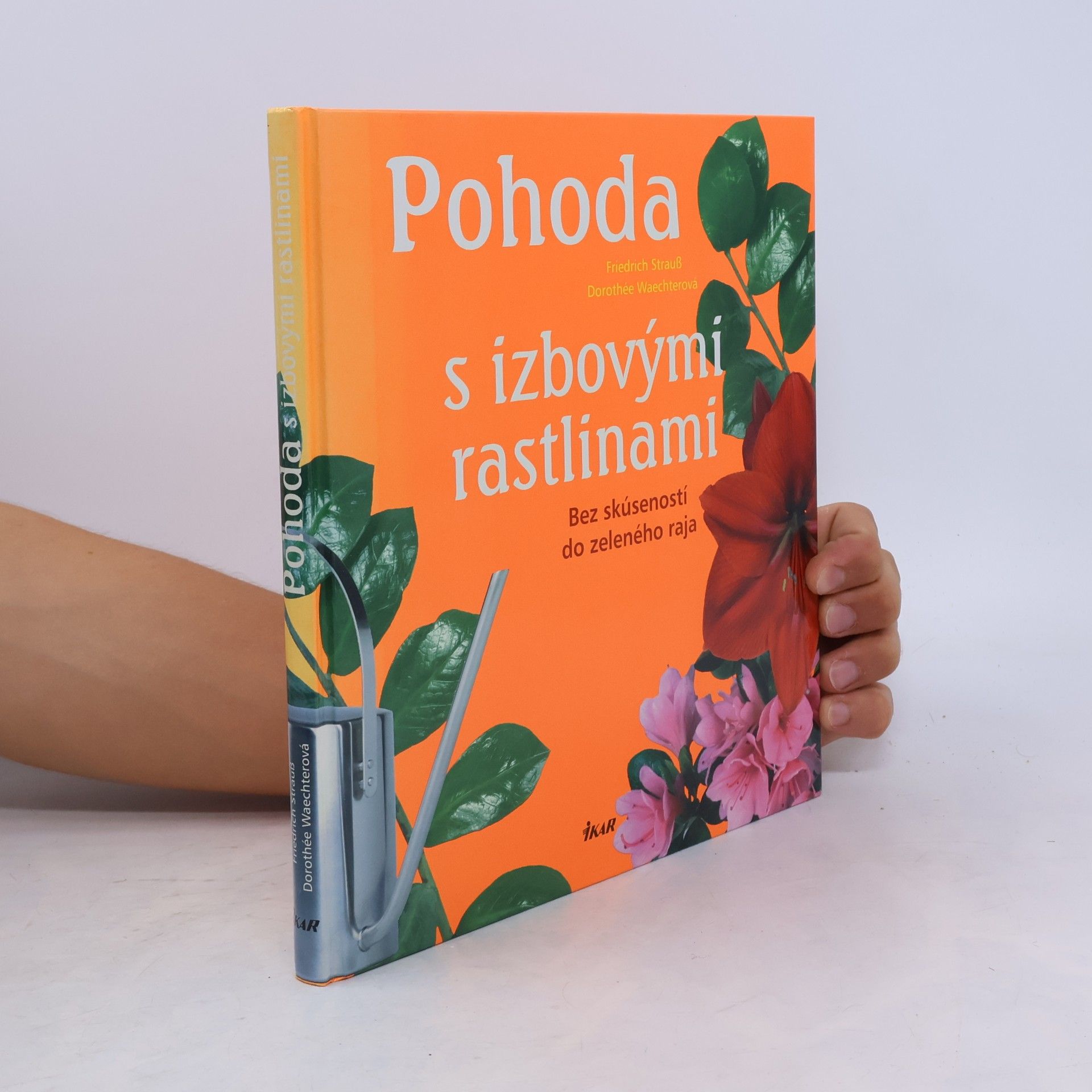 Friedrich Strauß Pohoda s izbovými rastlinami