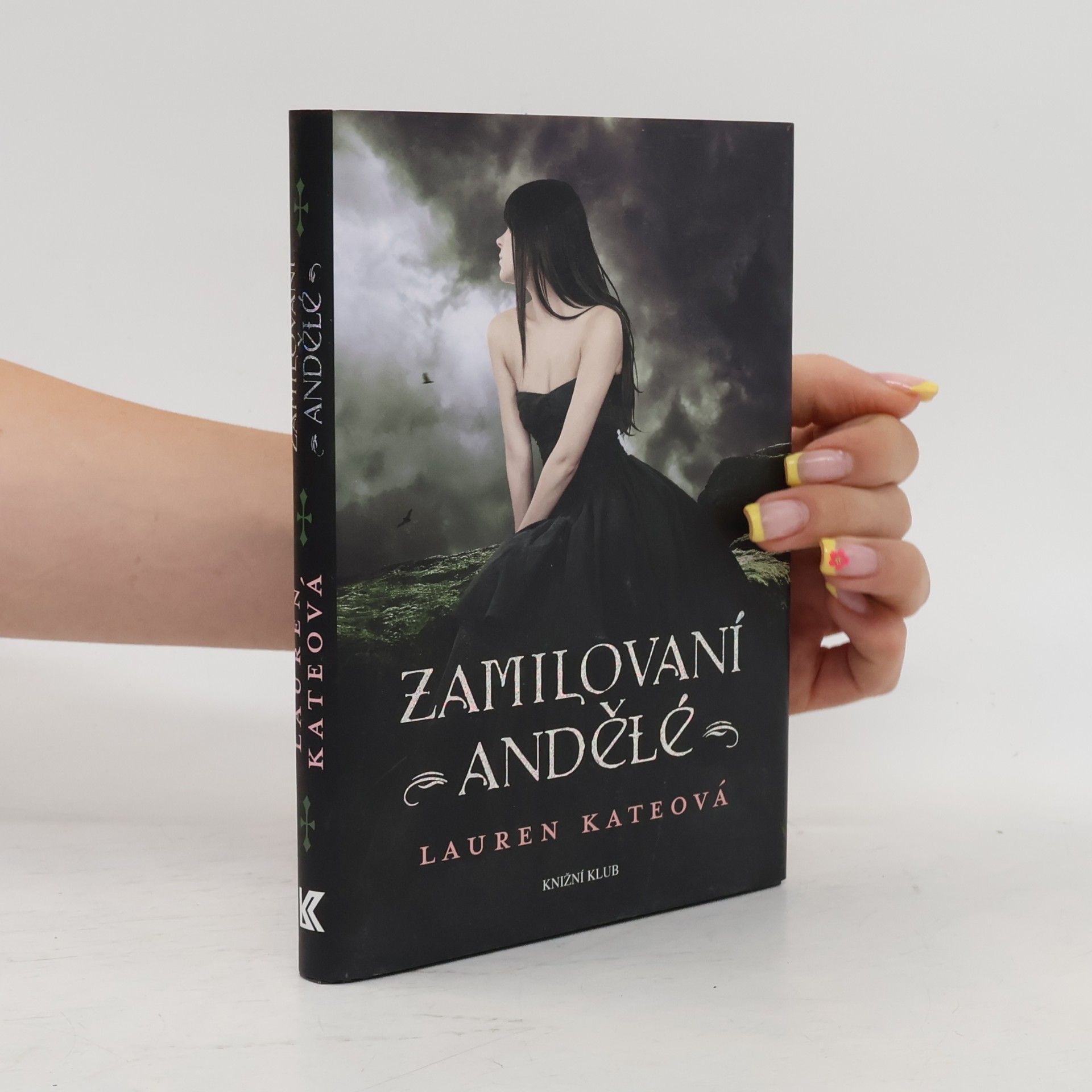 Lauren Kate Zamilovaní andělé