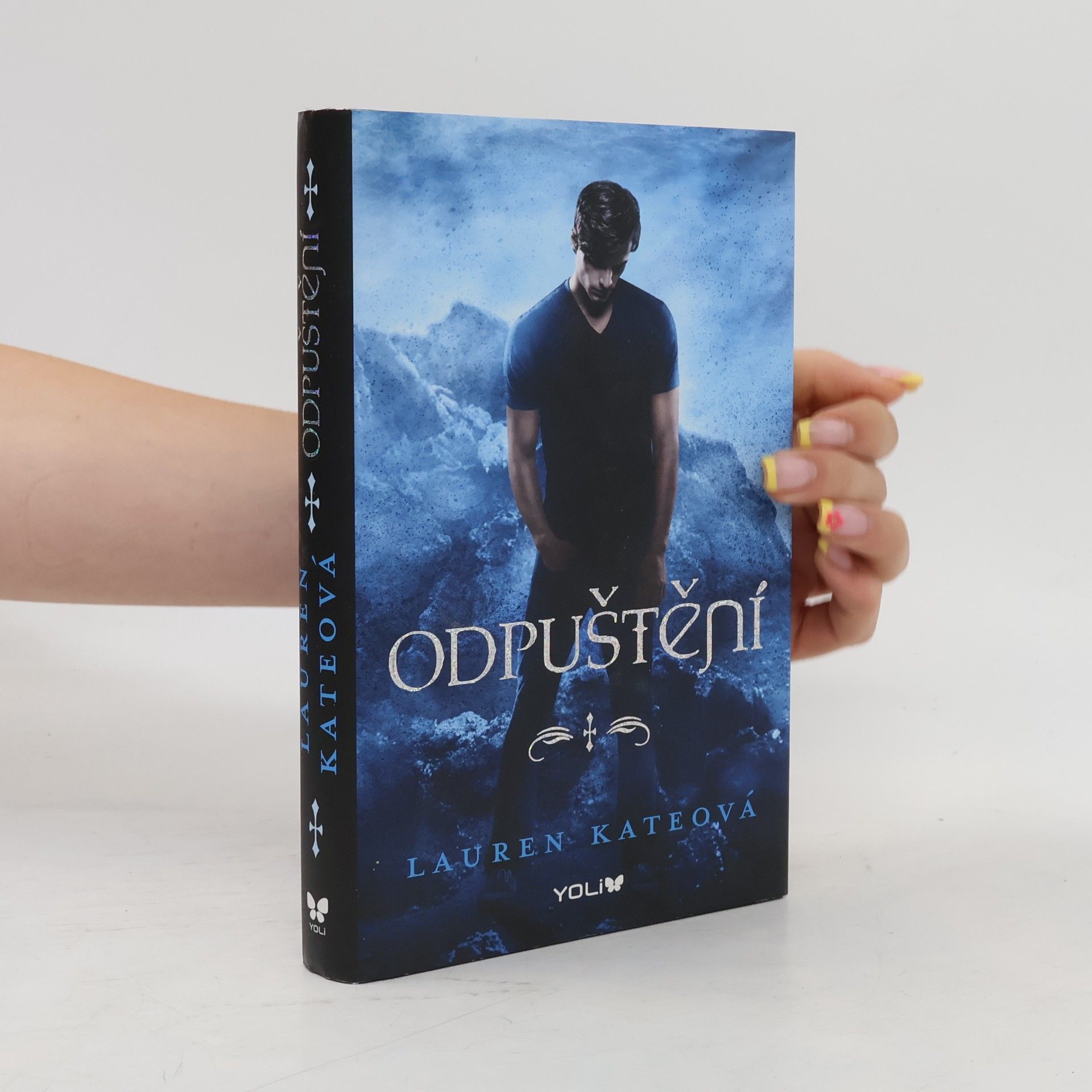 Lauren Kate Odpuštění