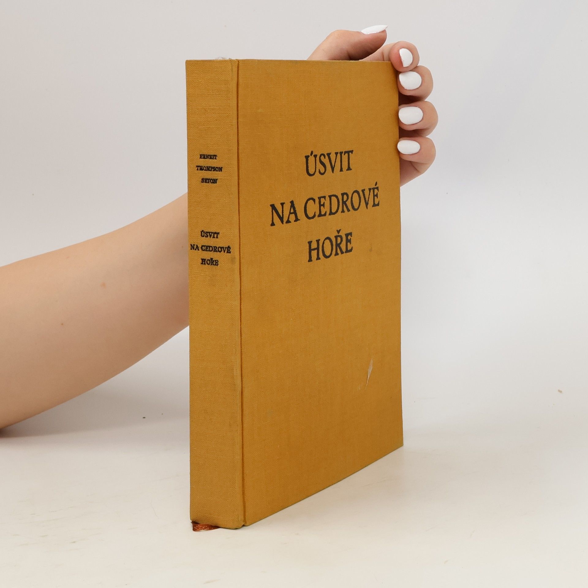 Bohumil Zdeněk Nekovařík Úsvit na Cedrové hoře