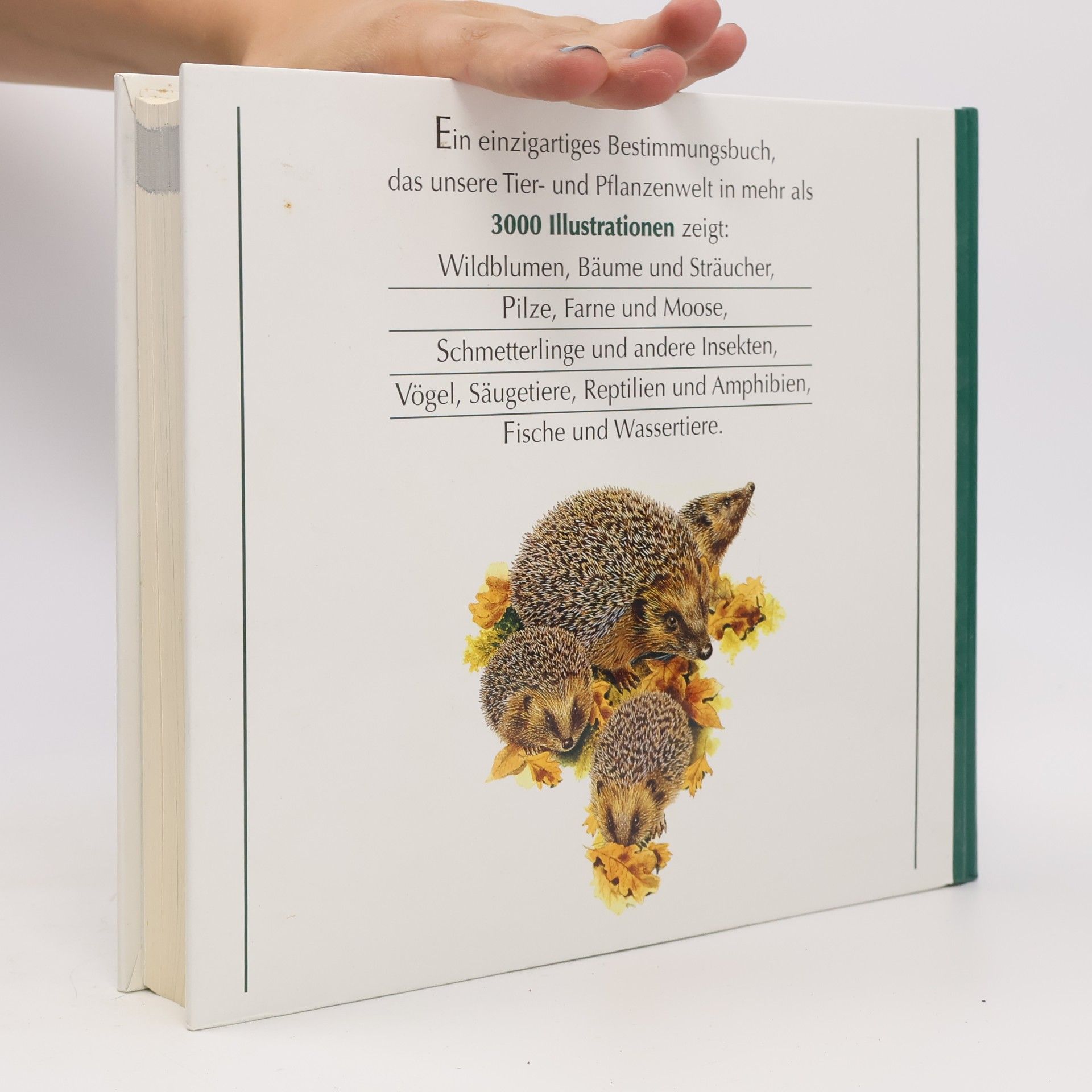 Collectif d'auteurs Wegweiser durch die Natur. Die Tiere und Pflanzen Mitteleuropas