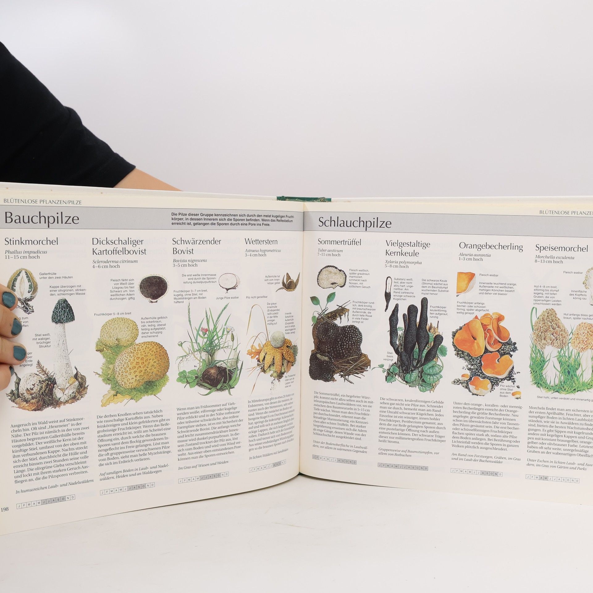 Collectif d'auteurs Wegweiser durch die Natur. Die Tiere und Pflanzen Mitteleuropas