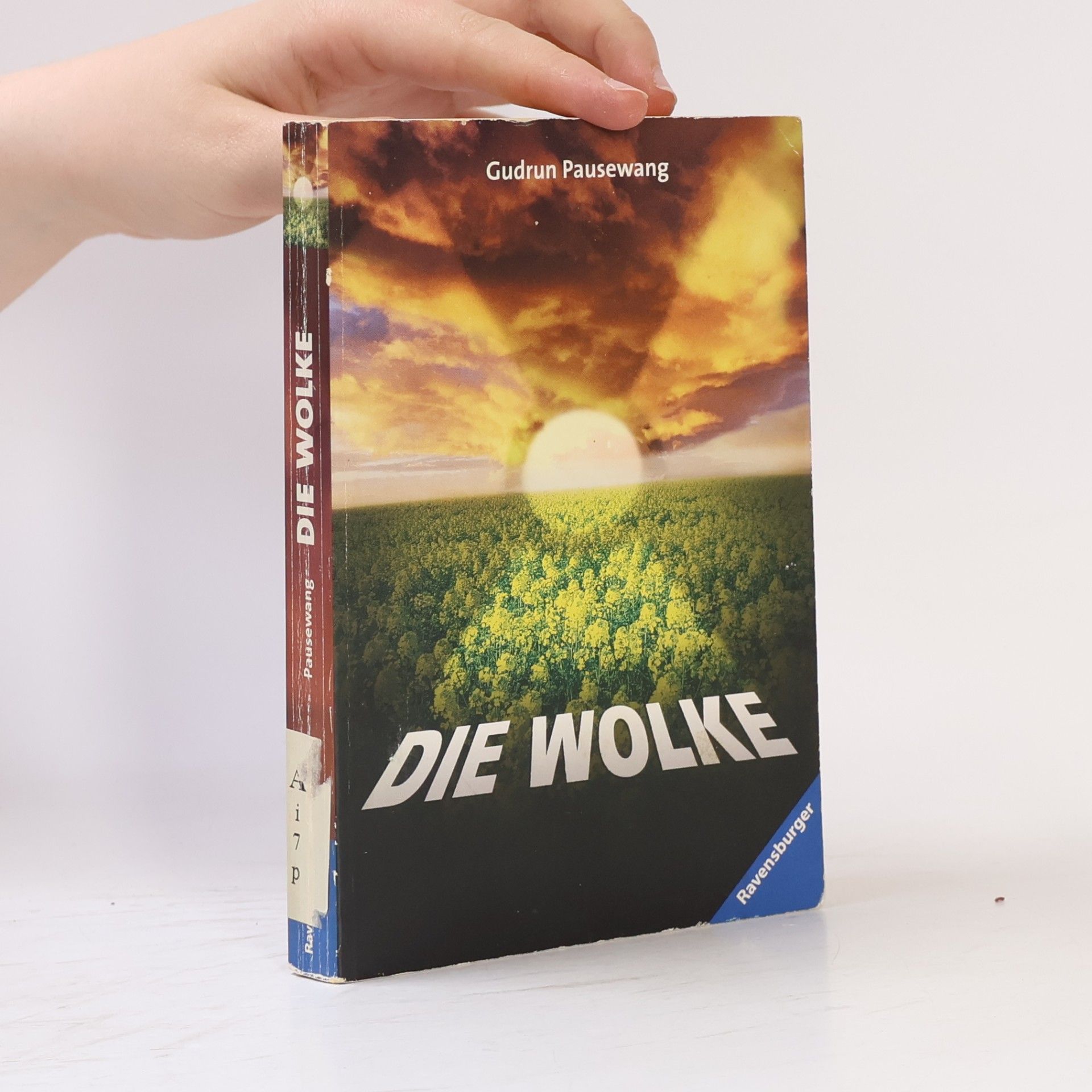 Gudrun Pausewang Die Wolke