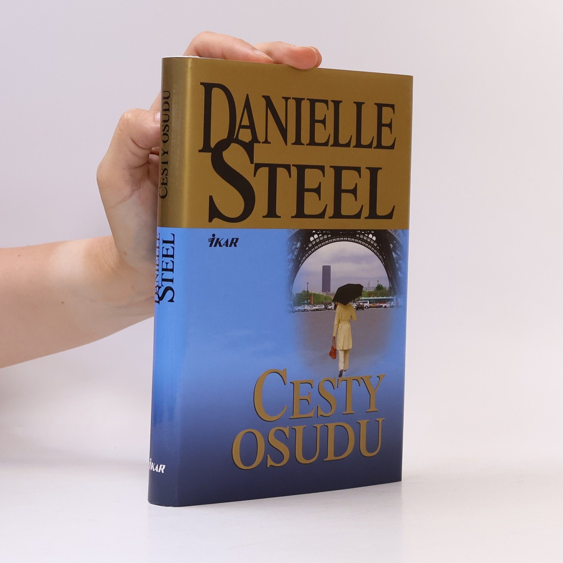 Danielle Steel Cesty osudu