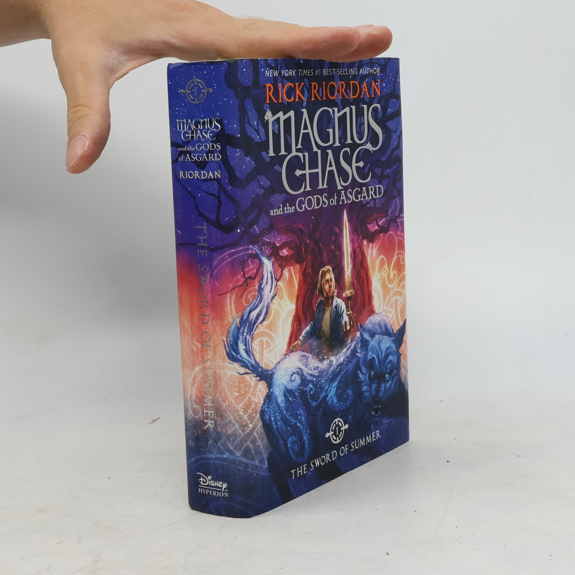 Rick Riordan Magnus Chase and the Gods of Asgard