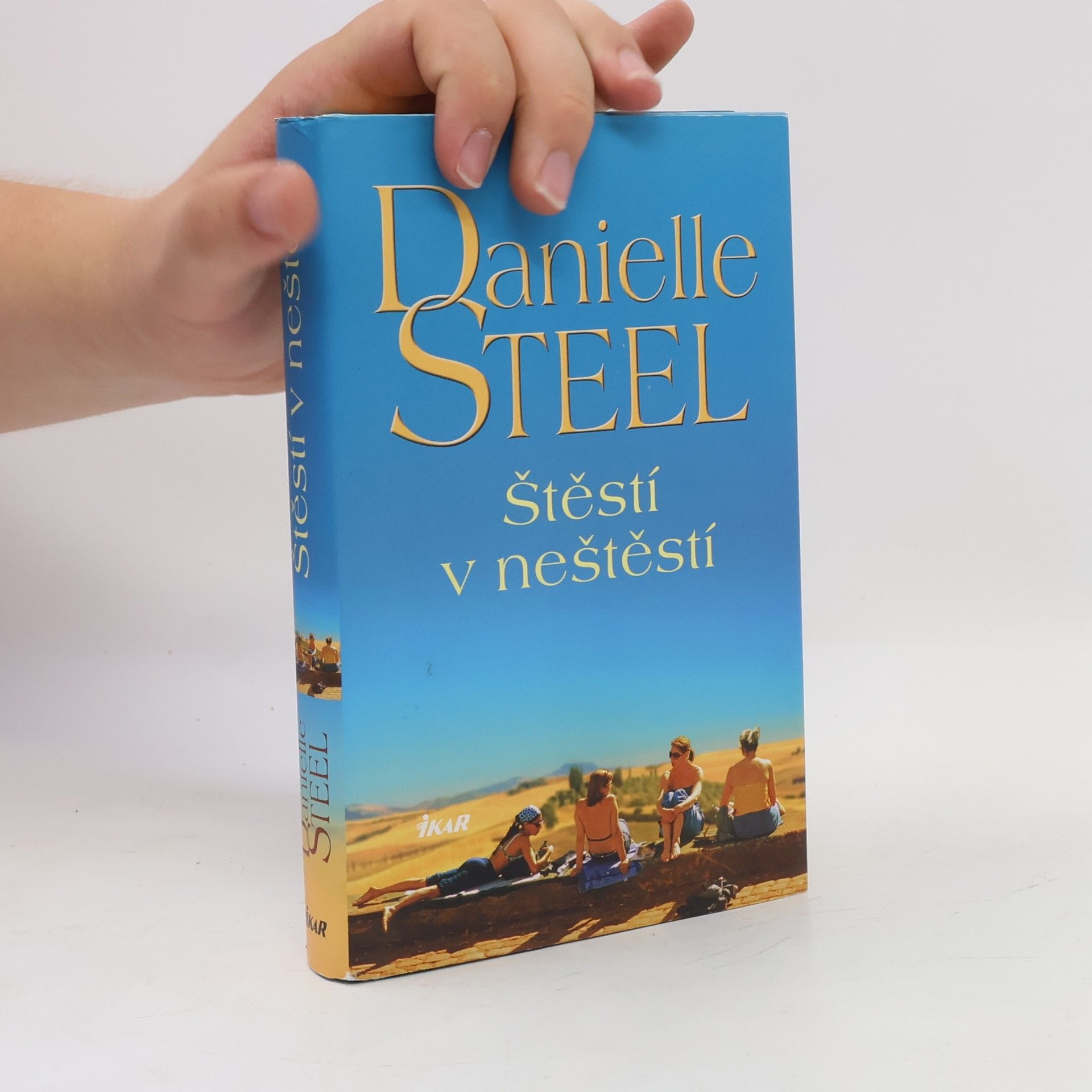 Danielle Steel Štěstí v neštěstí