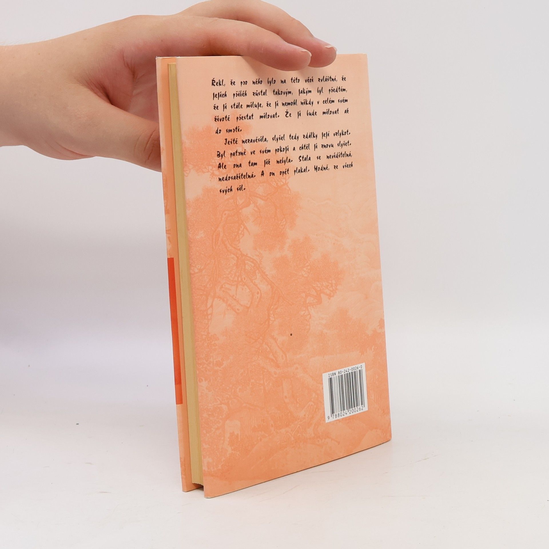 Marguerite Duras Milenec ze severní Číny