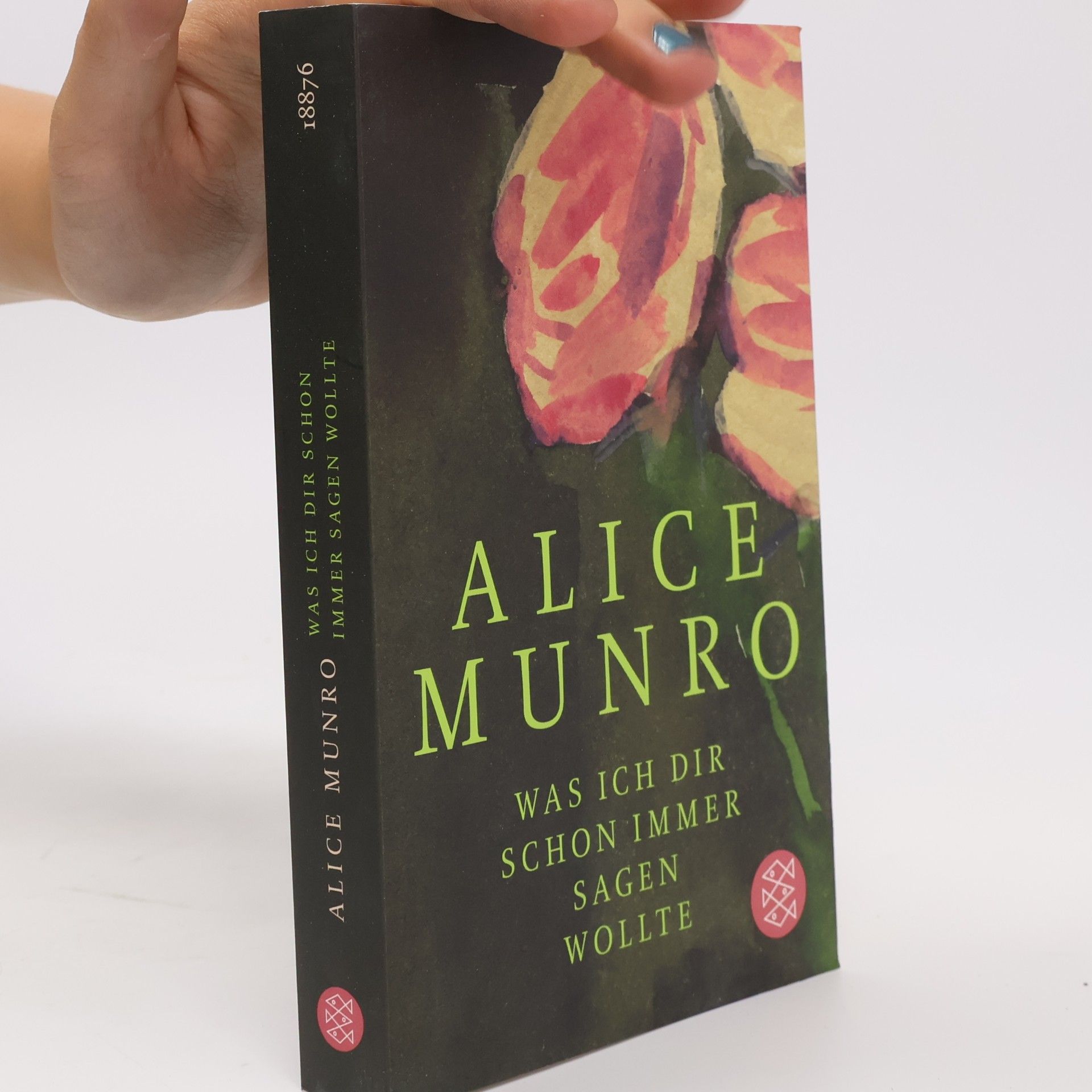 Alice Munro Was ich dir schon immer sagen wollte