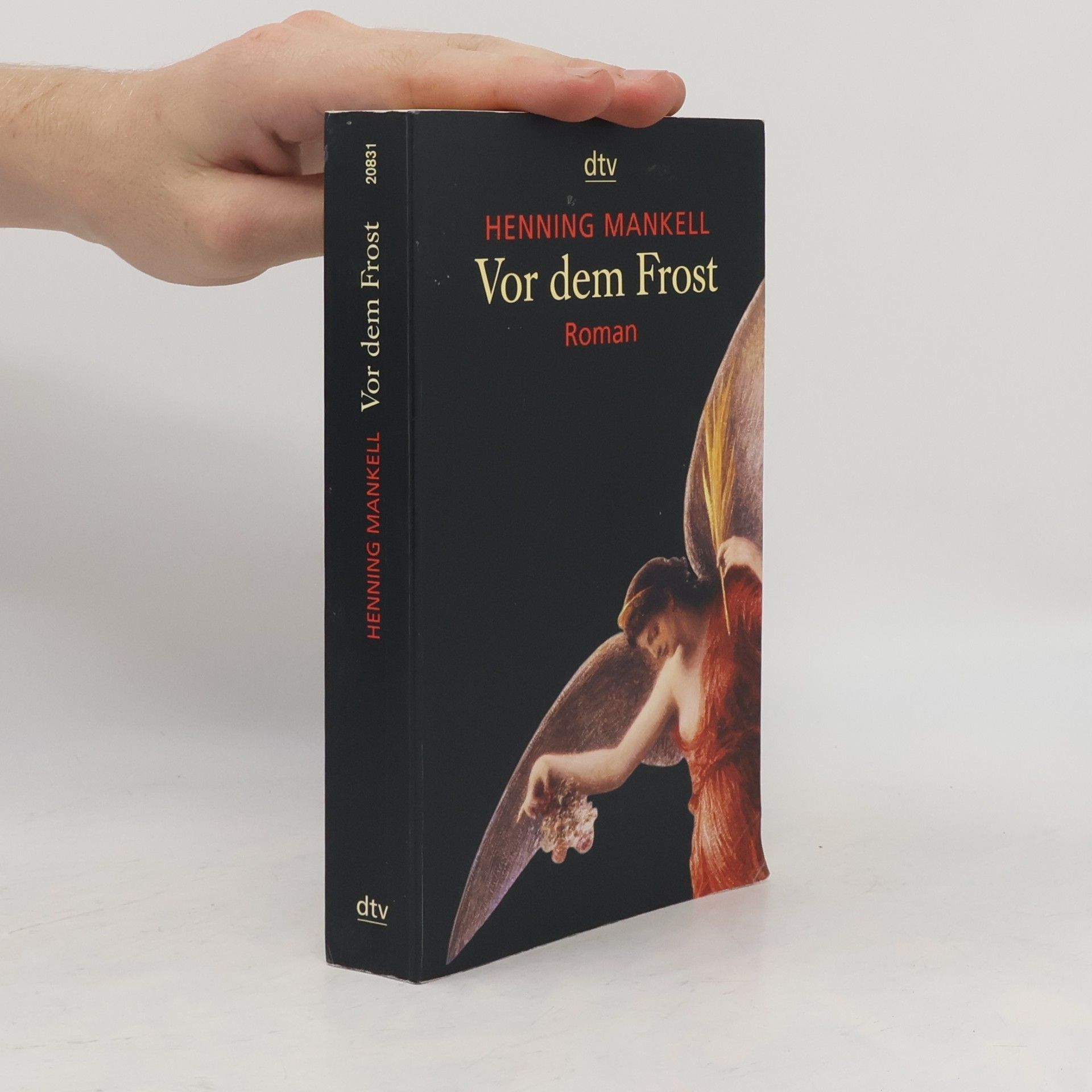 Henning Mankell Vor dem Frost