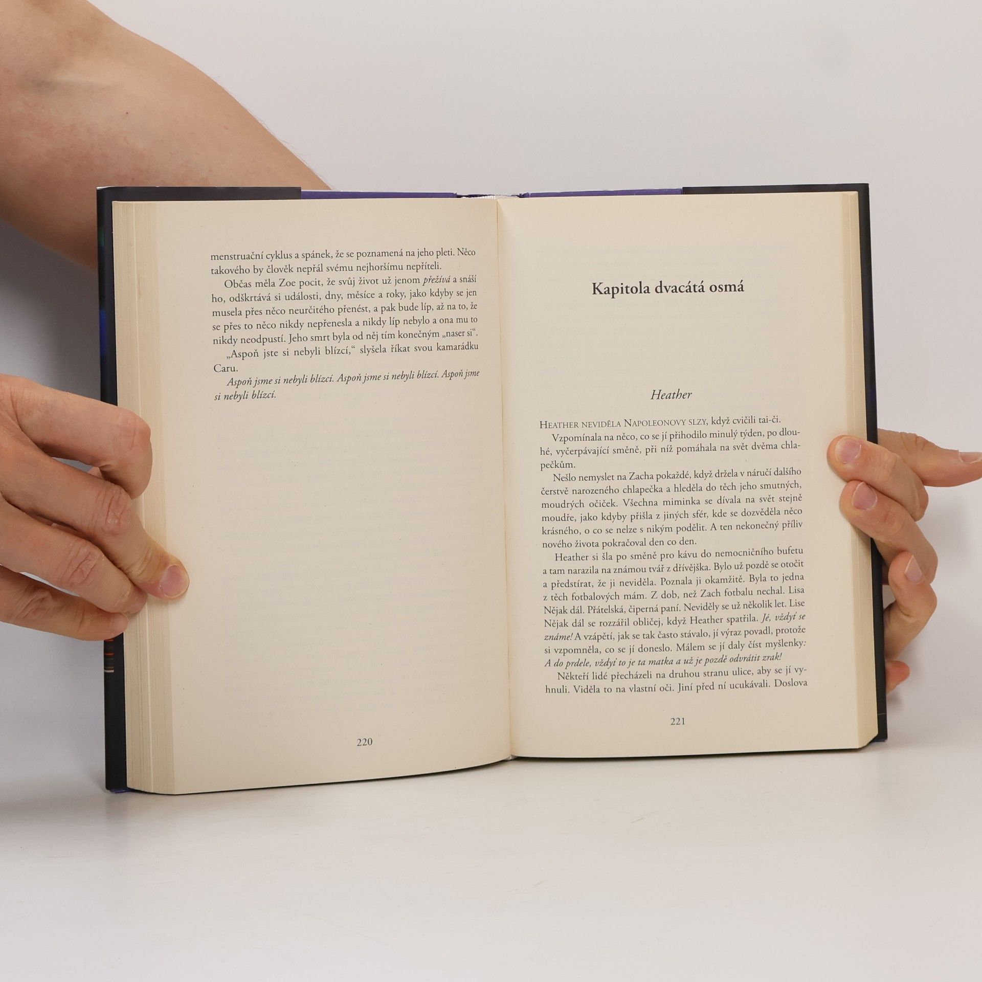 Liane Moriarty Úplně cizí lidé