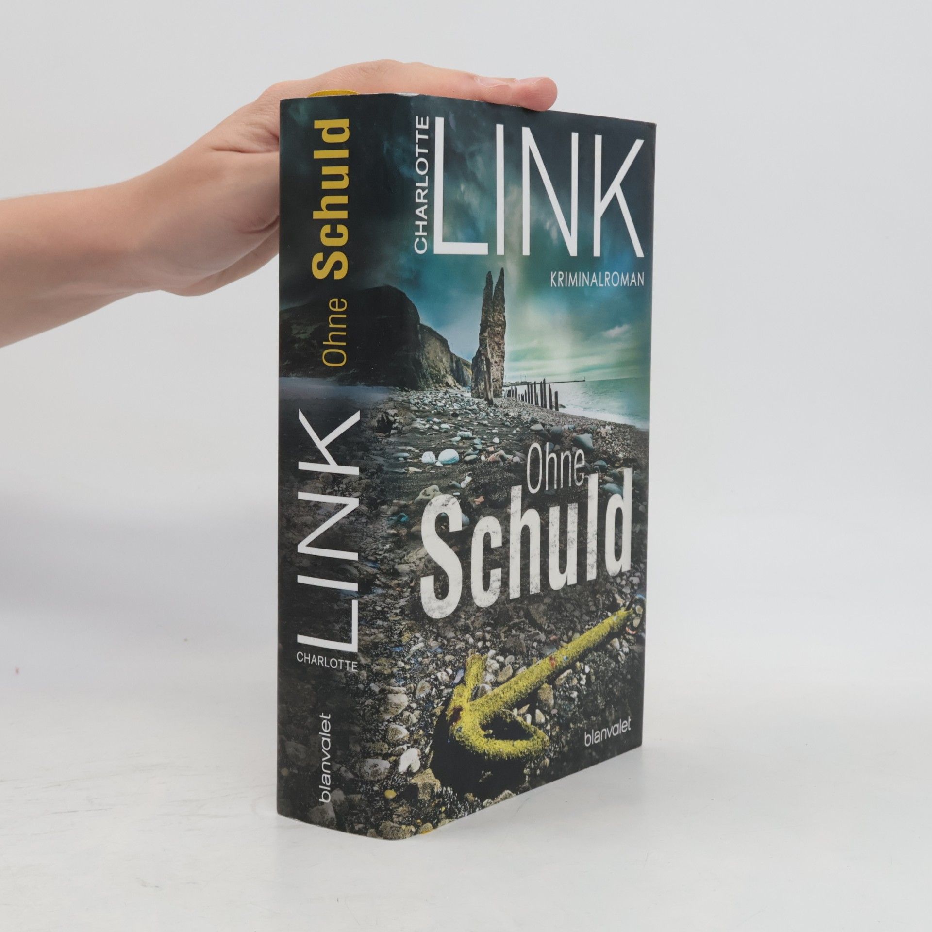 Charlotte Link Ohne Schuld