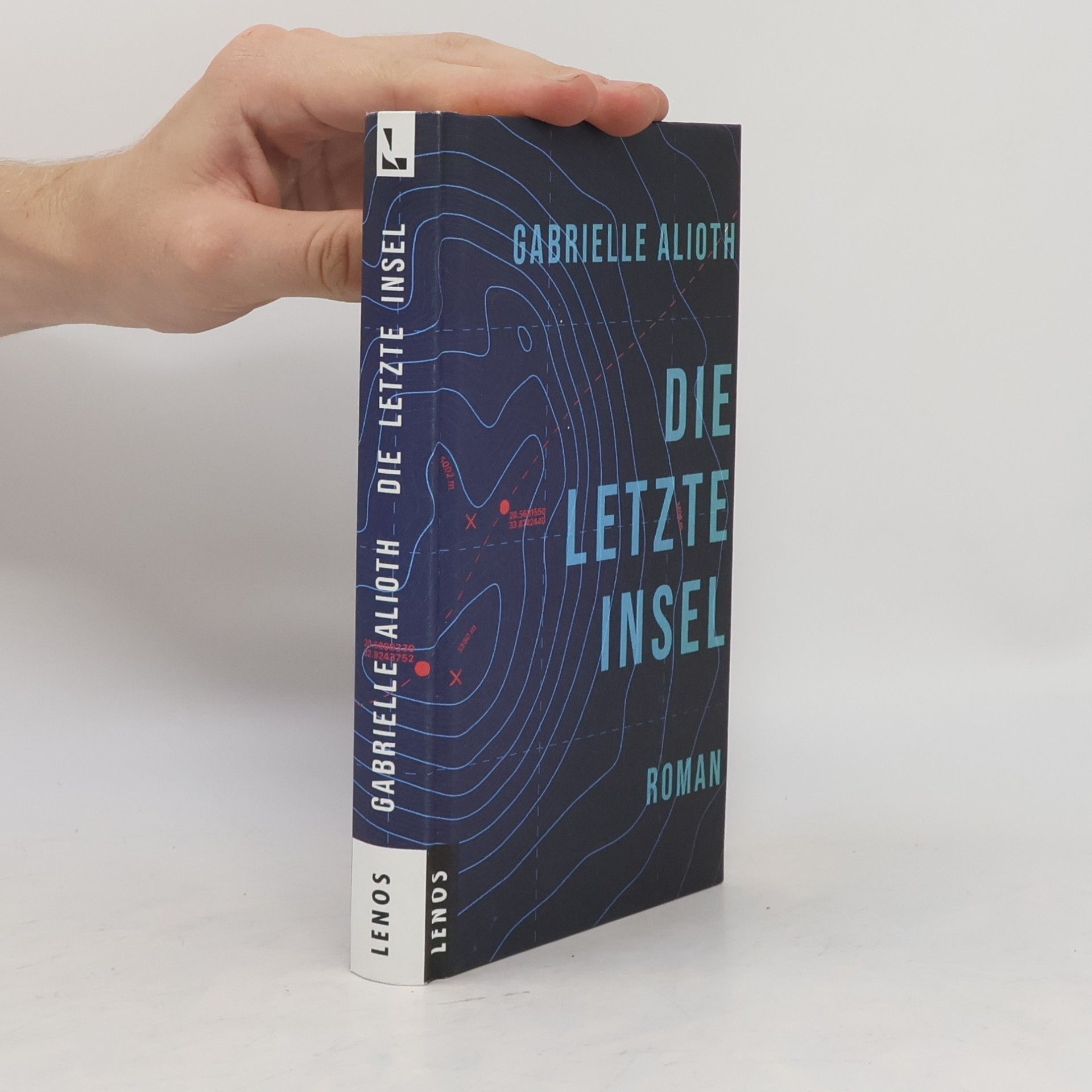 Gabrielle Alioth Die letzte Insel