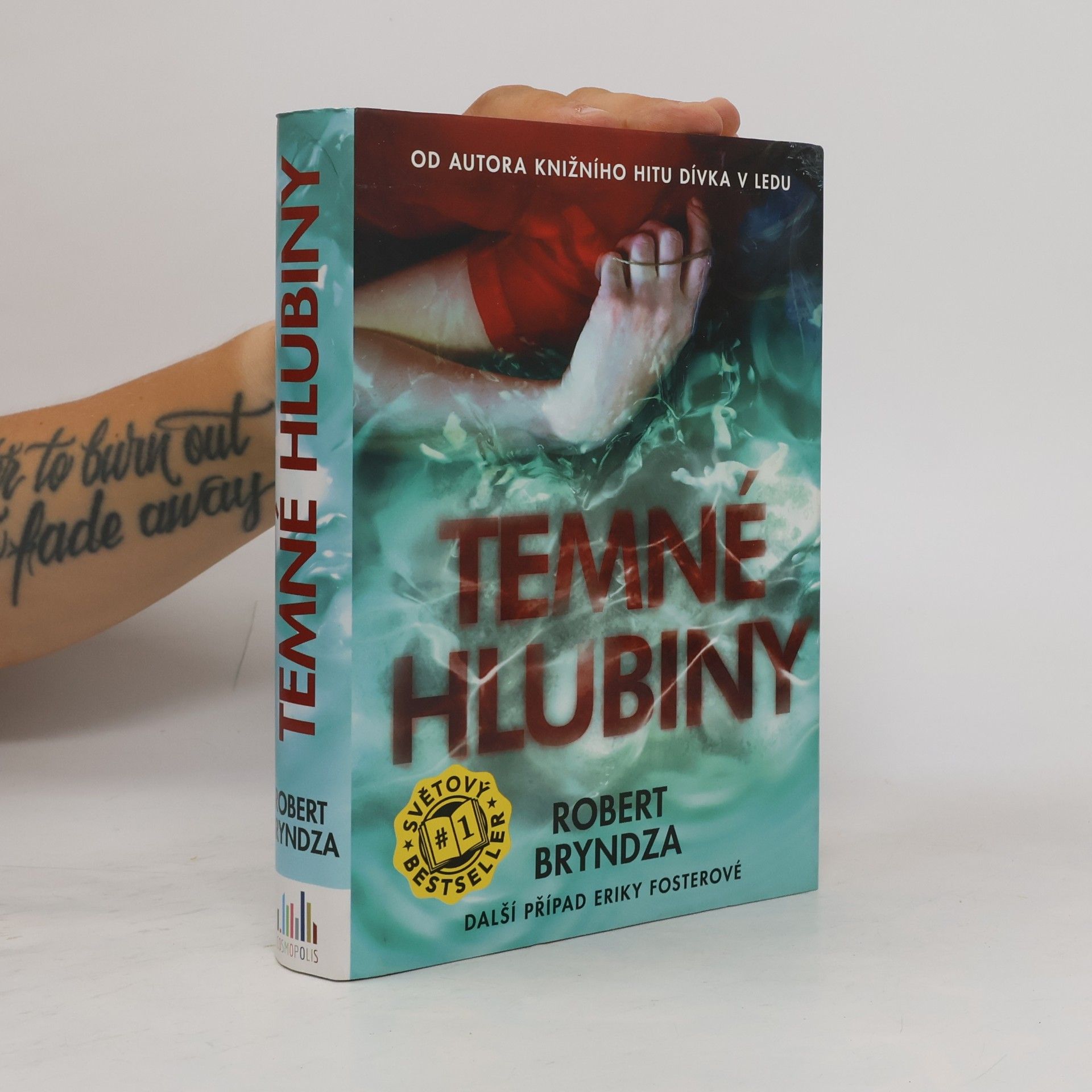 Robert Bryndza Temné hlubiny