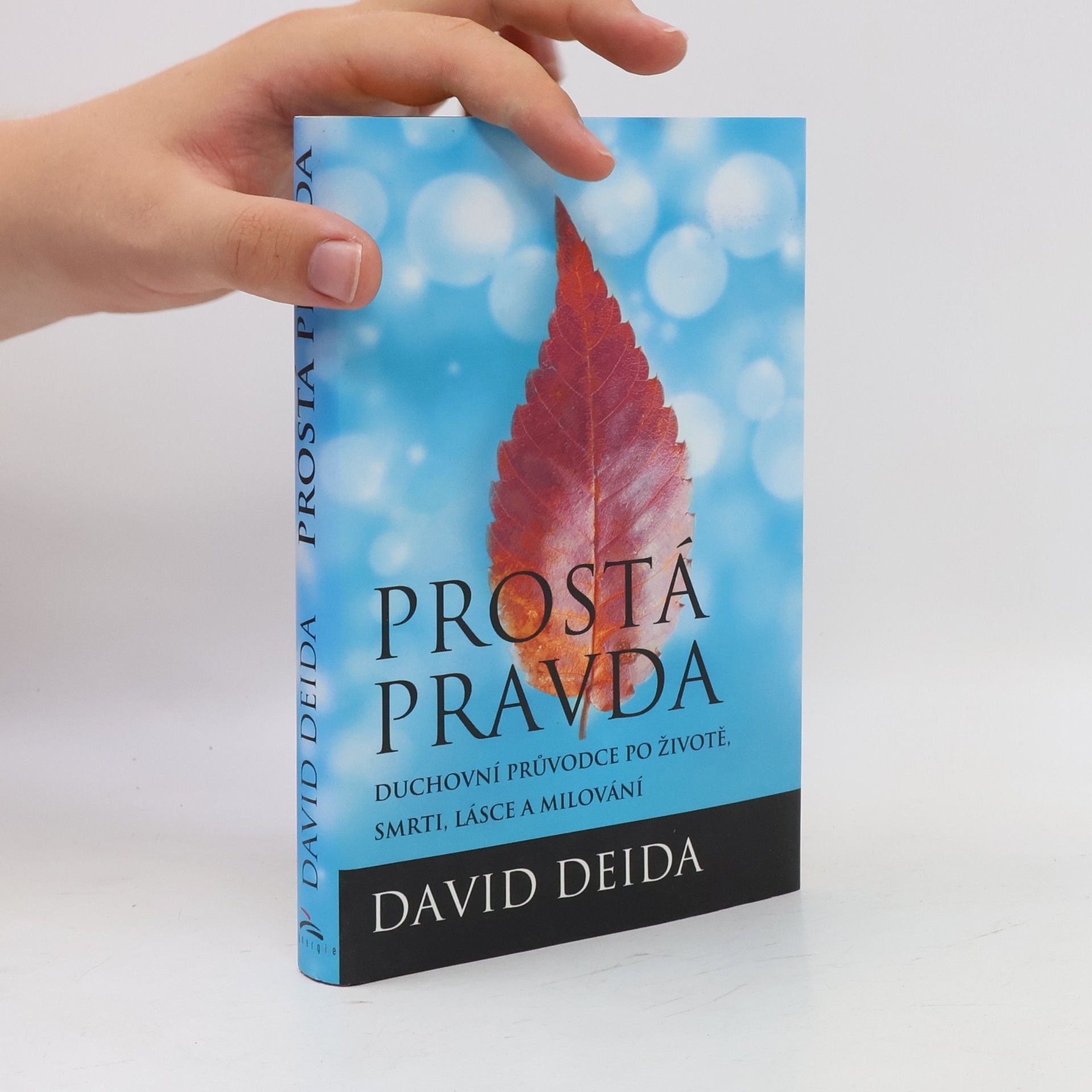 David Deida Prostá pravda