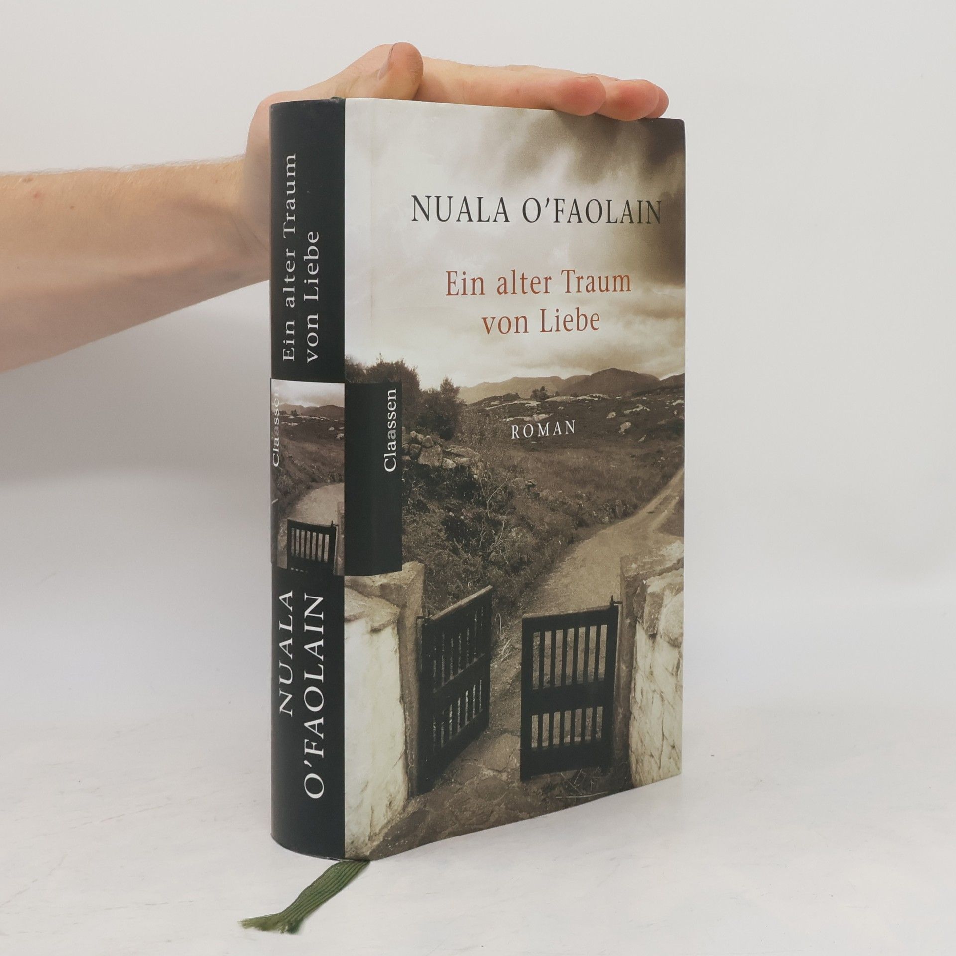 Nuala O. Faolain Ein alter Traum von Liebe
