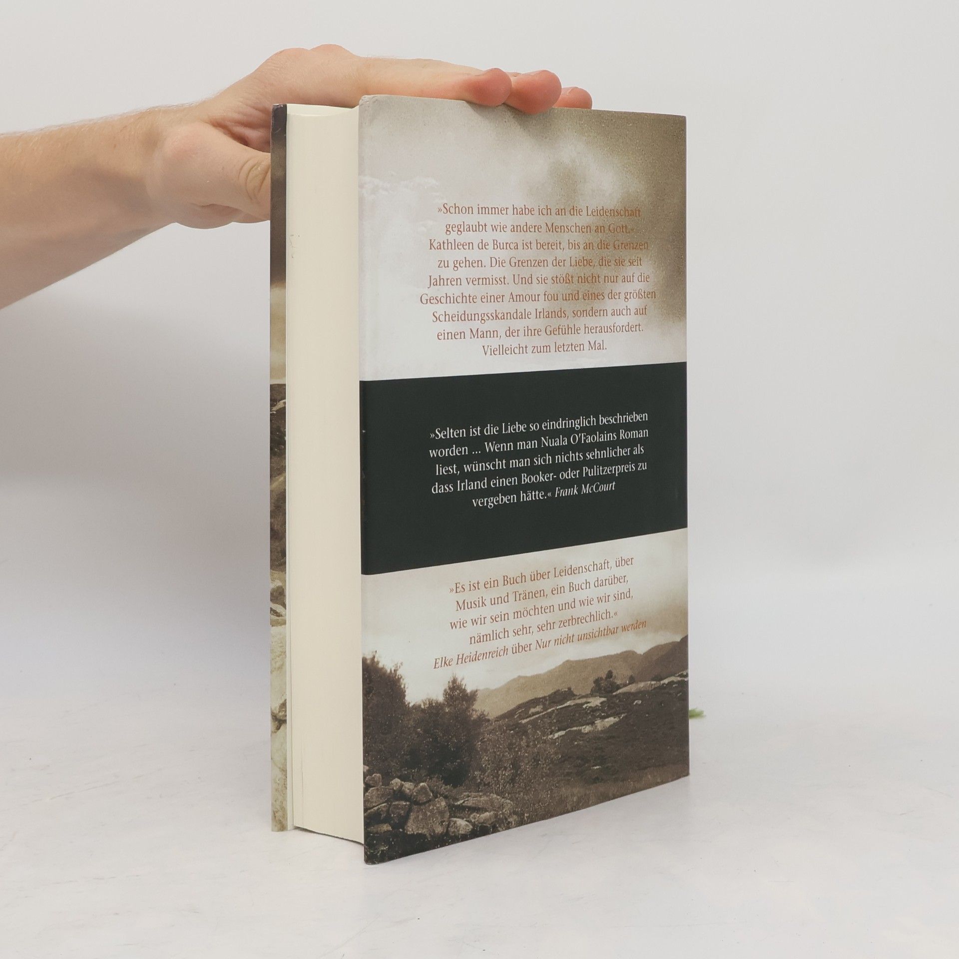 Nuala O. Faolain Ein alter Traum von Liebe
