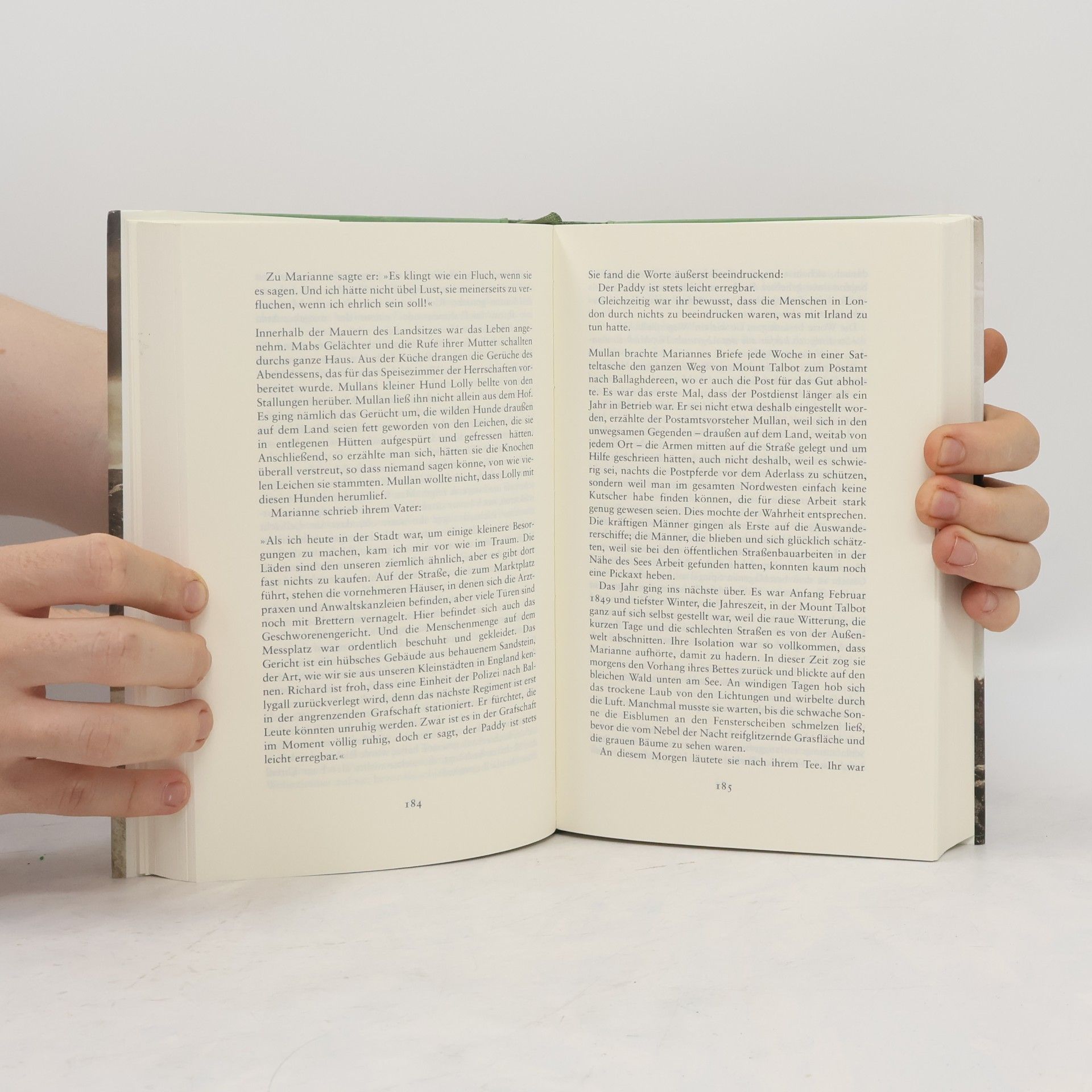 Nuala O. Faolain Ein alter Traum von Liebe