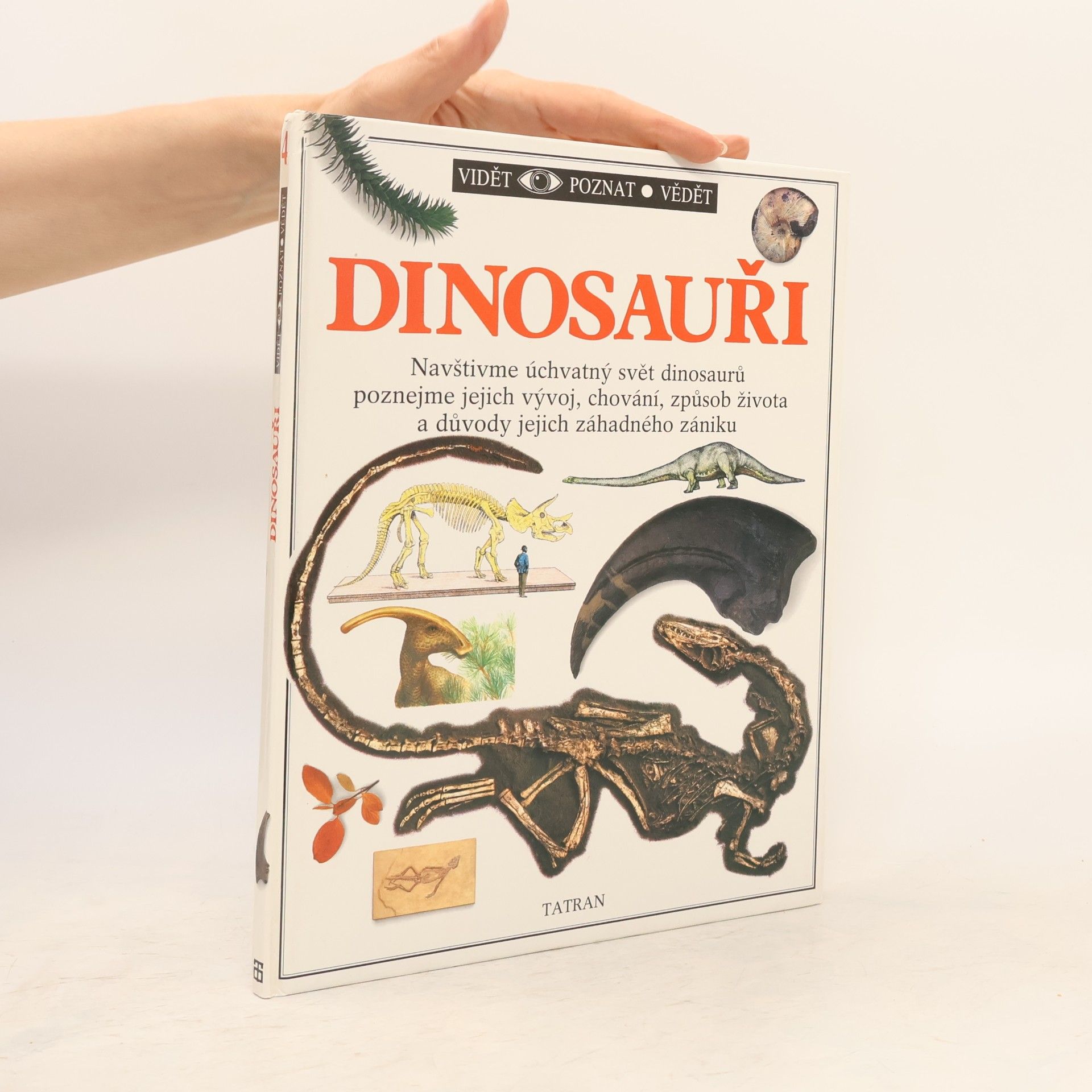 Various authors Dinosauři