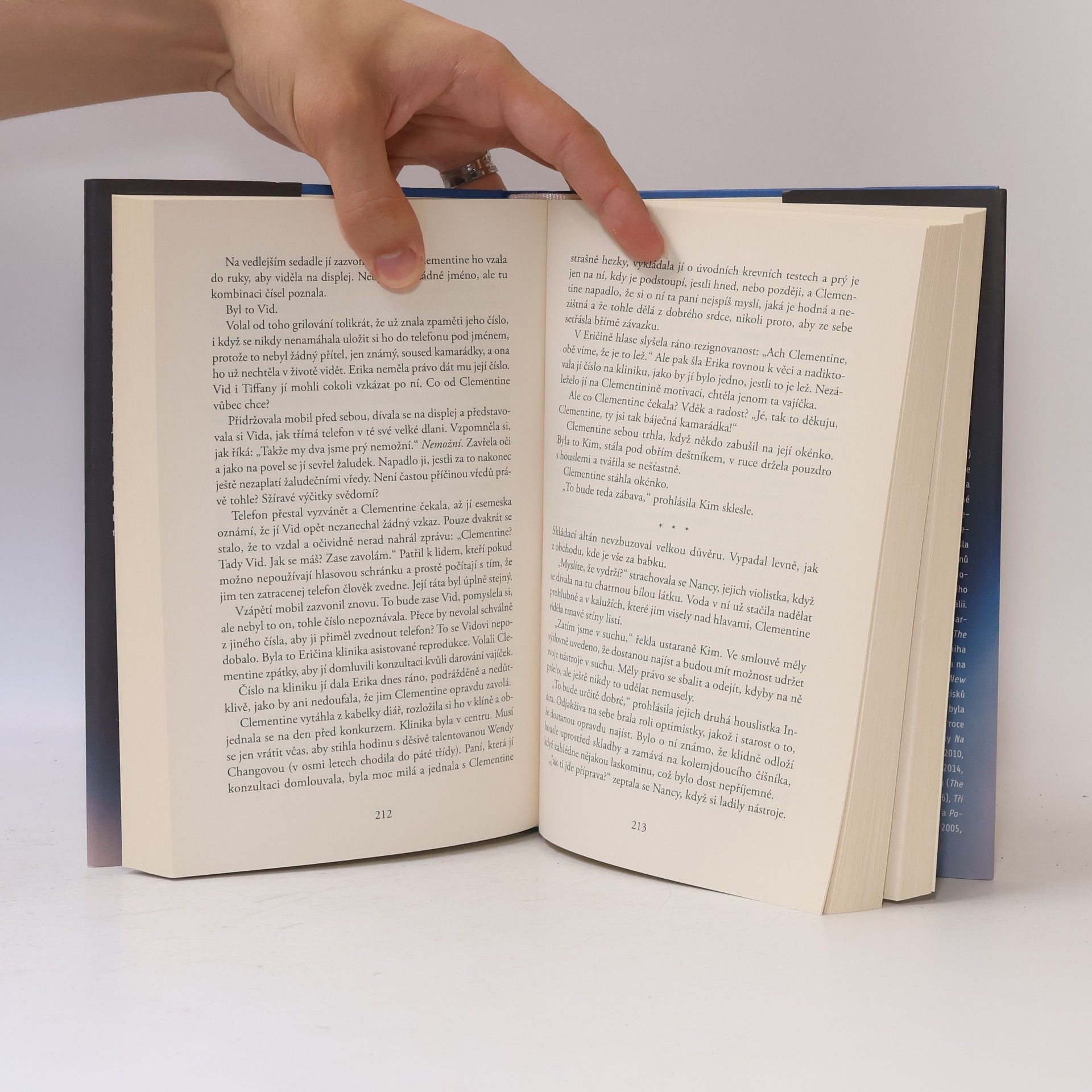 Liane Moriarty Šílené výčitky