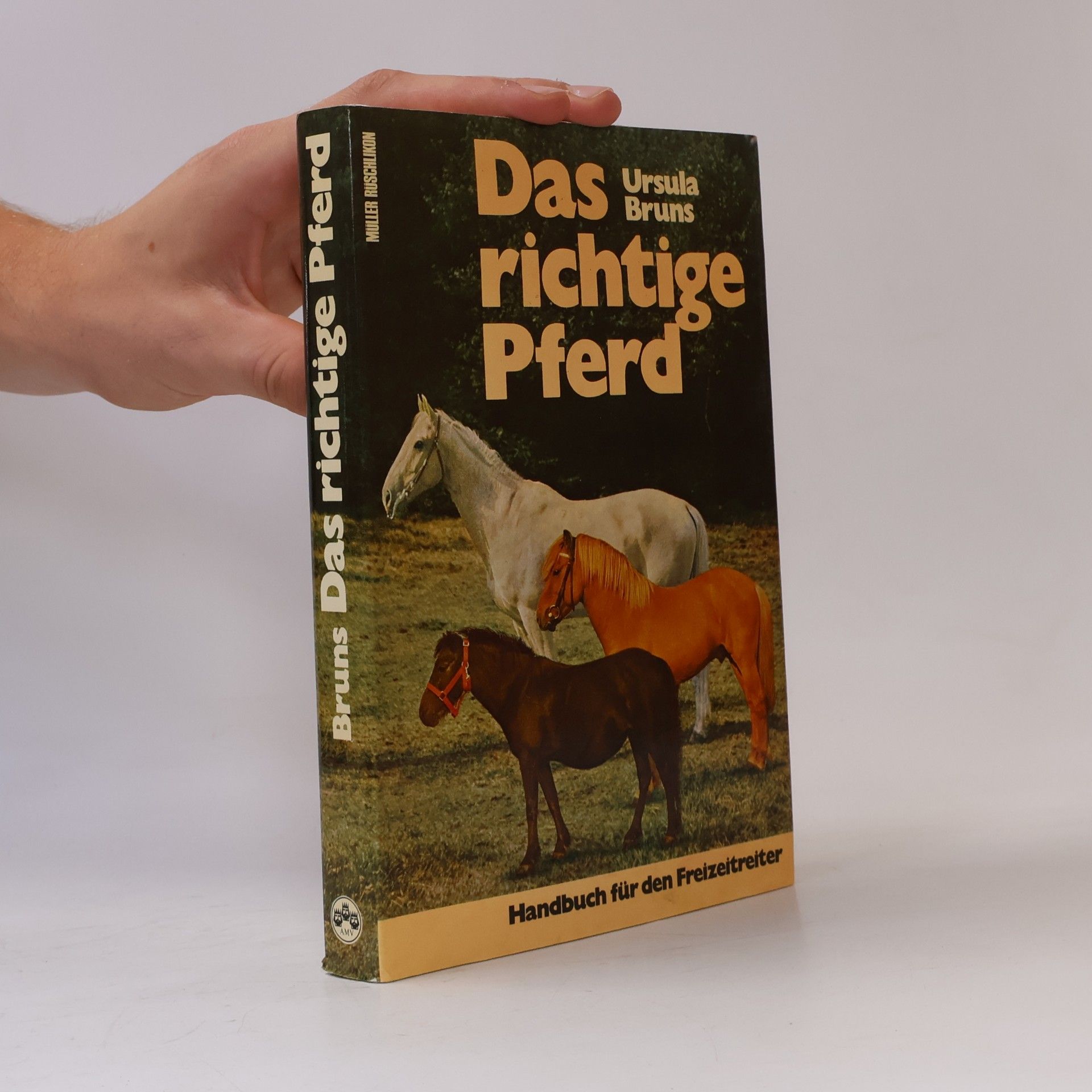 Das richtige Pferd