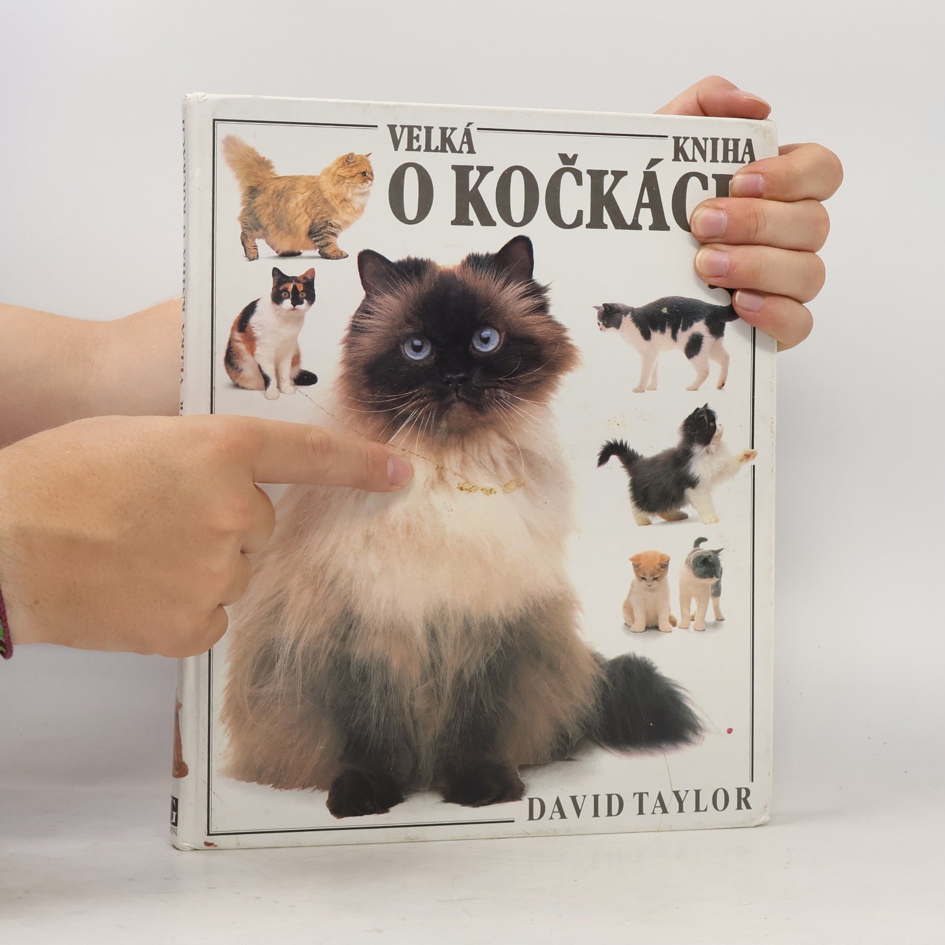 David Taylor Velká kniha o kočkách