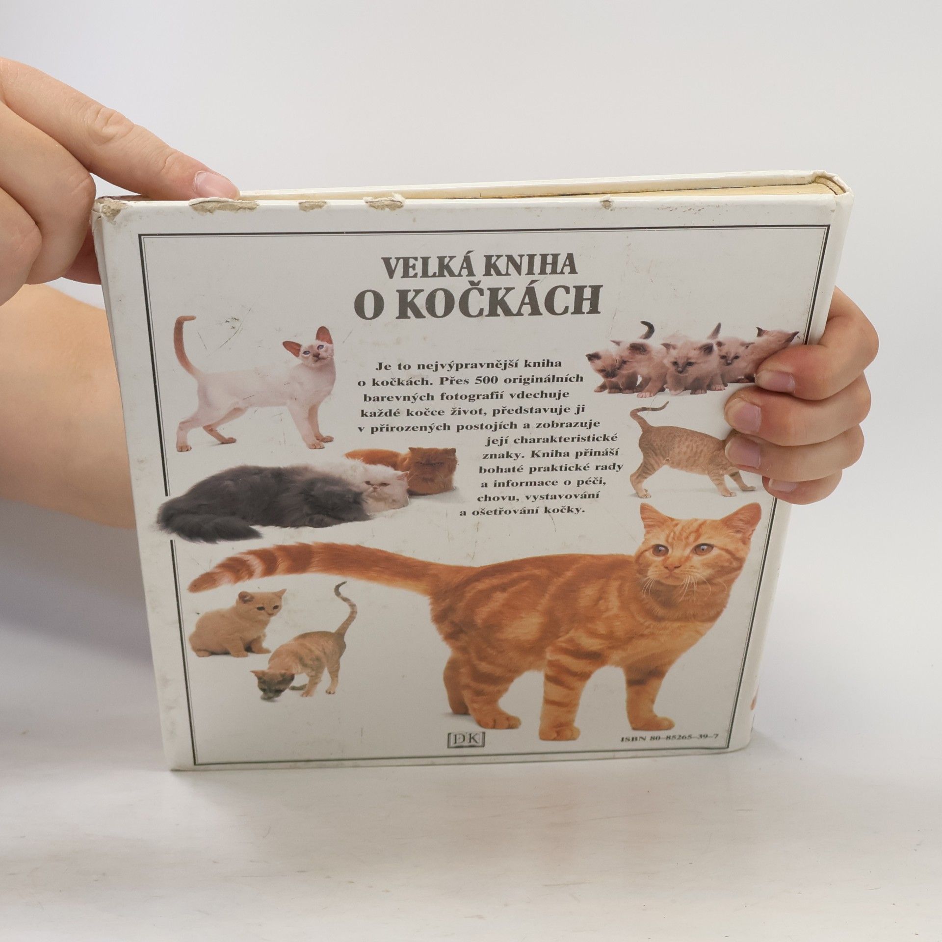 David Taylor Velká kniha o kočkách