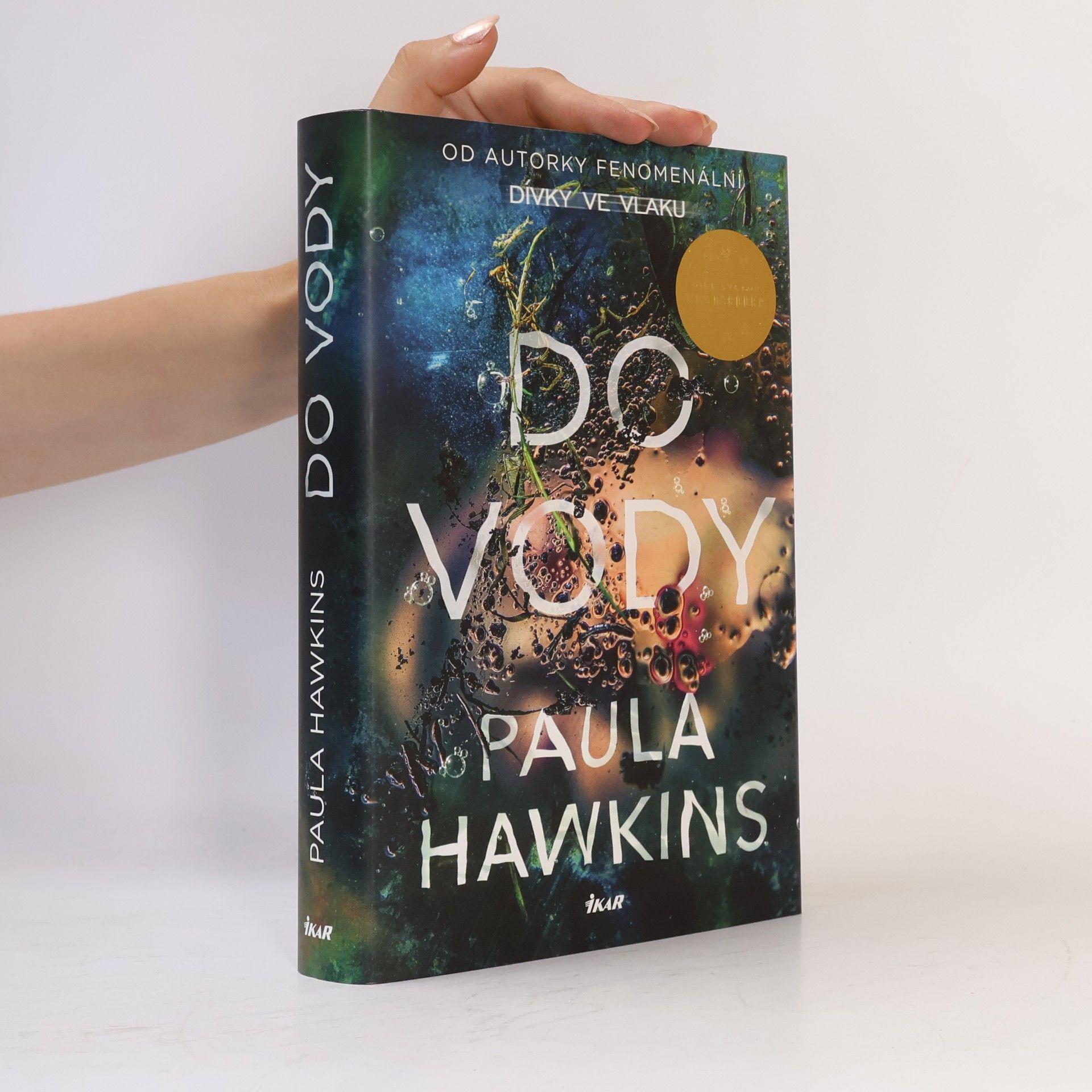 Paula Hawkinsová Do vody