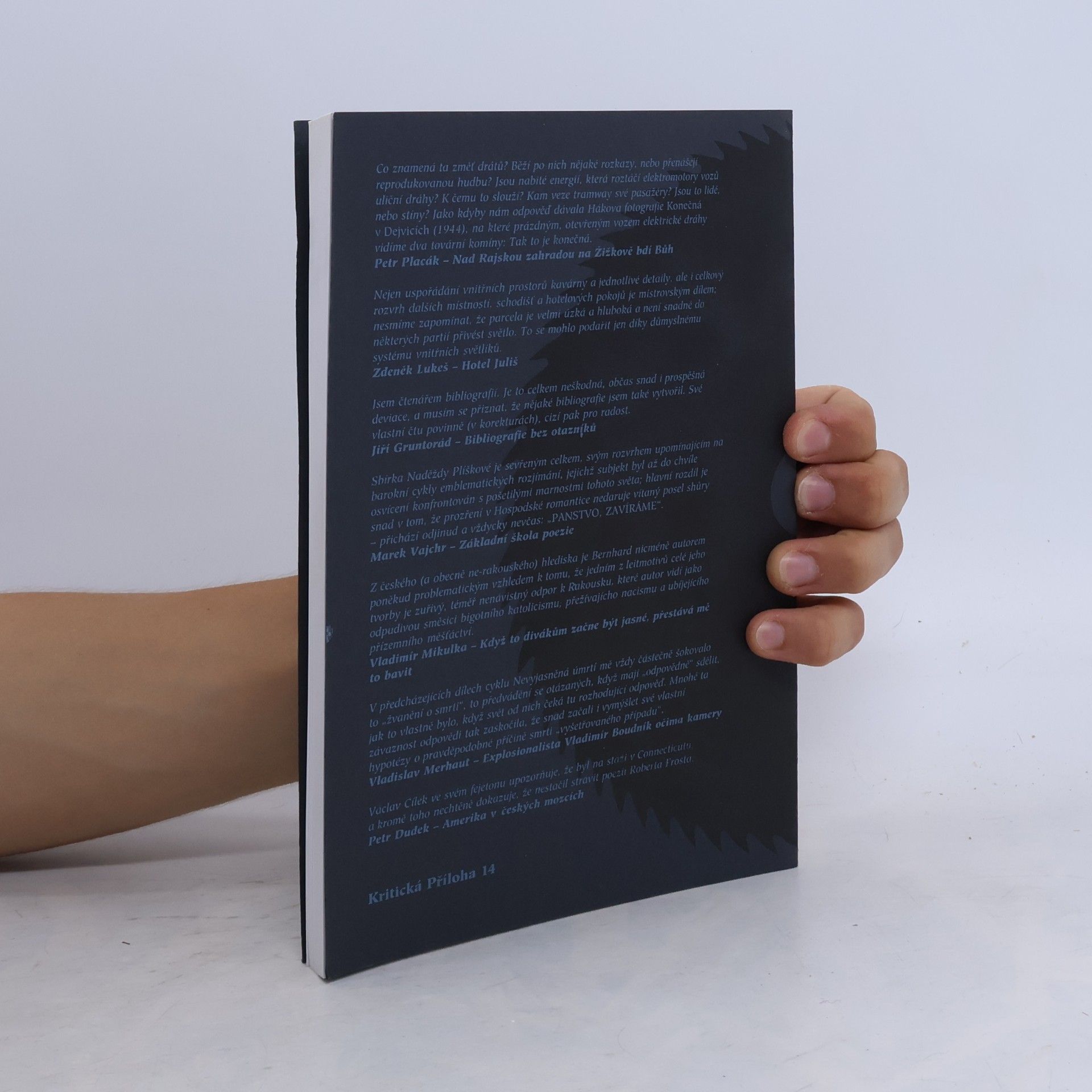 Collectif d'auteurs Kritická příloha 14. Revolver revue