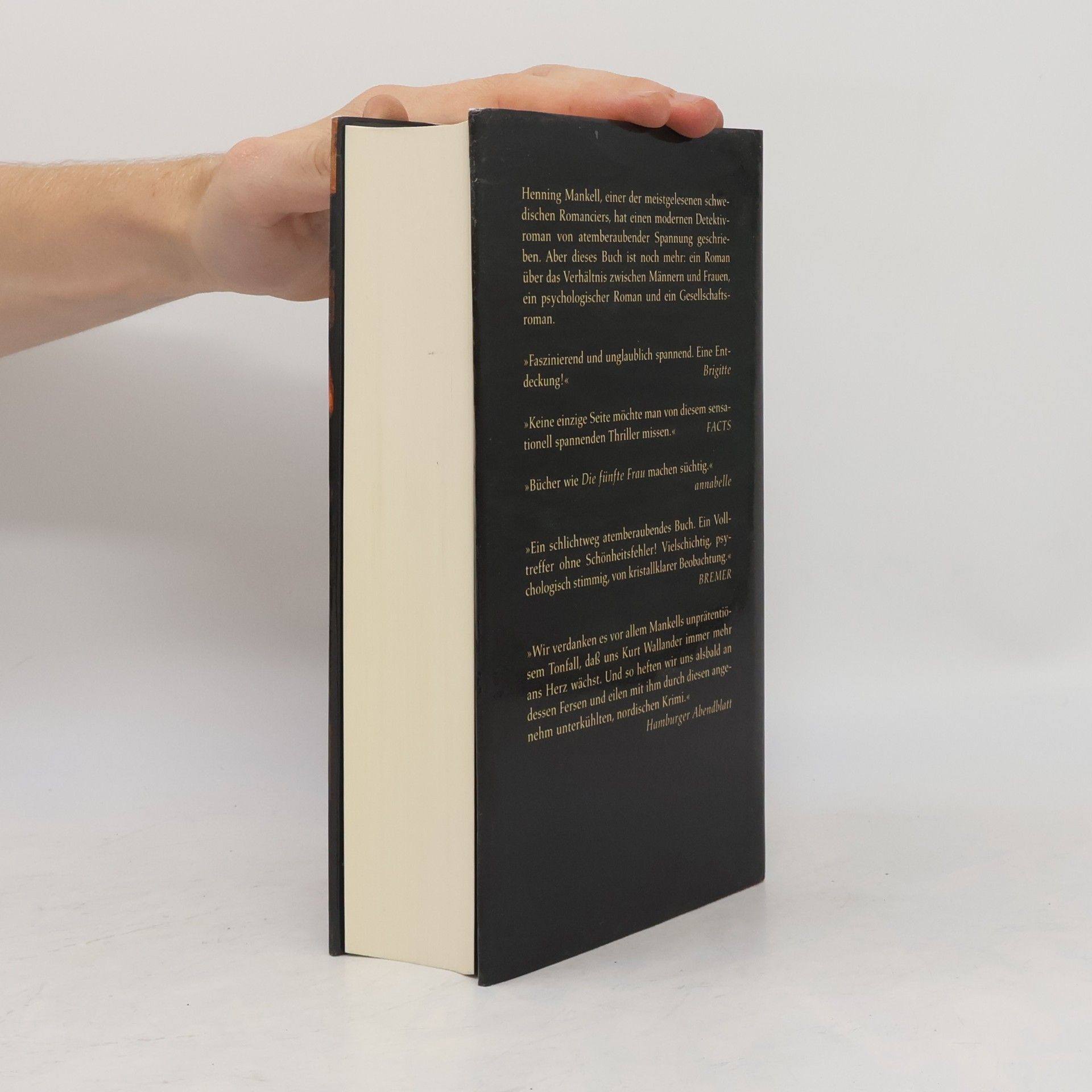 Henning Mankell Die fünfte Frau