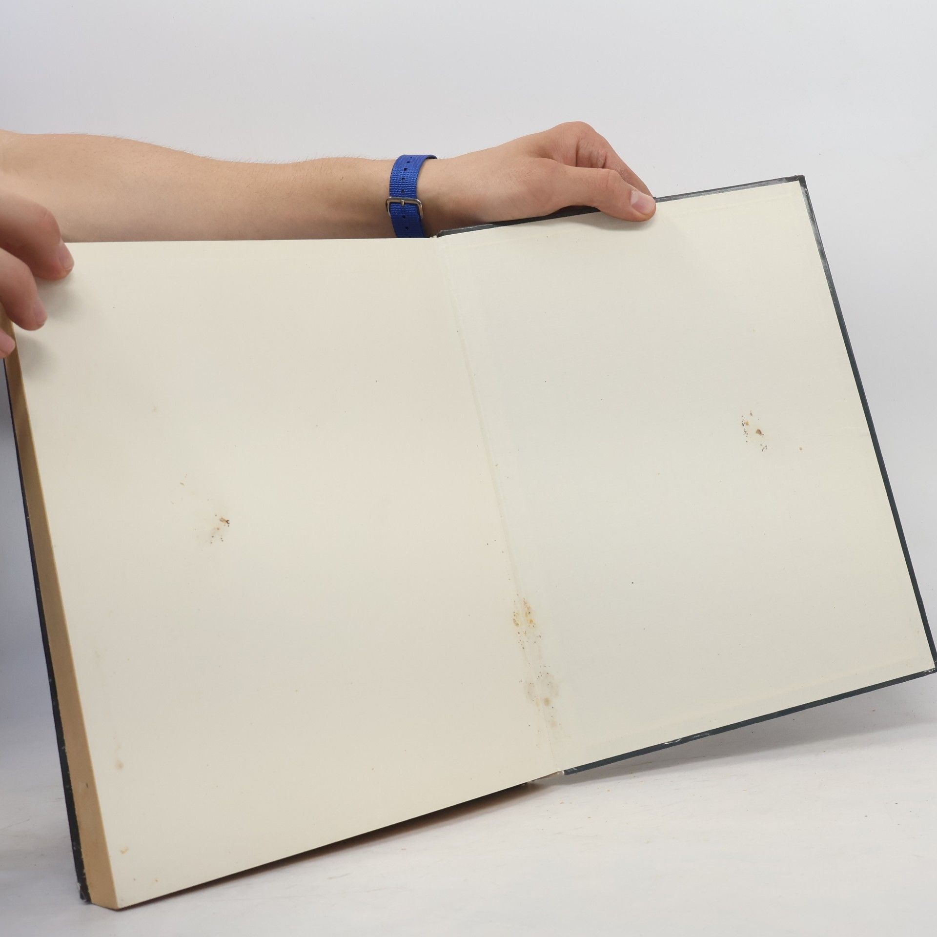 AA.VV. Das Grosse Buch der Astrologie: Wassermann