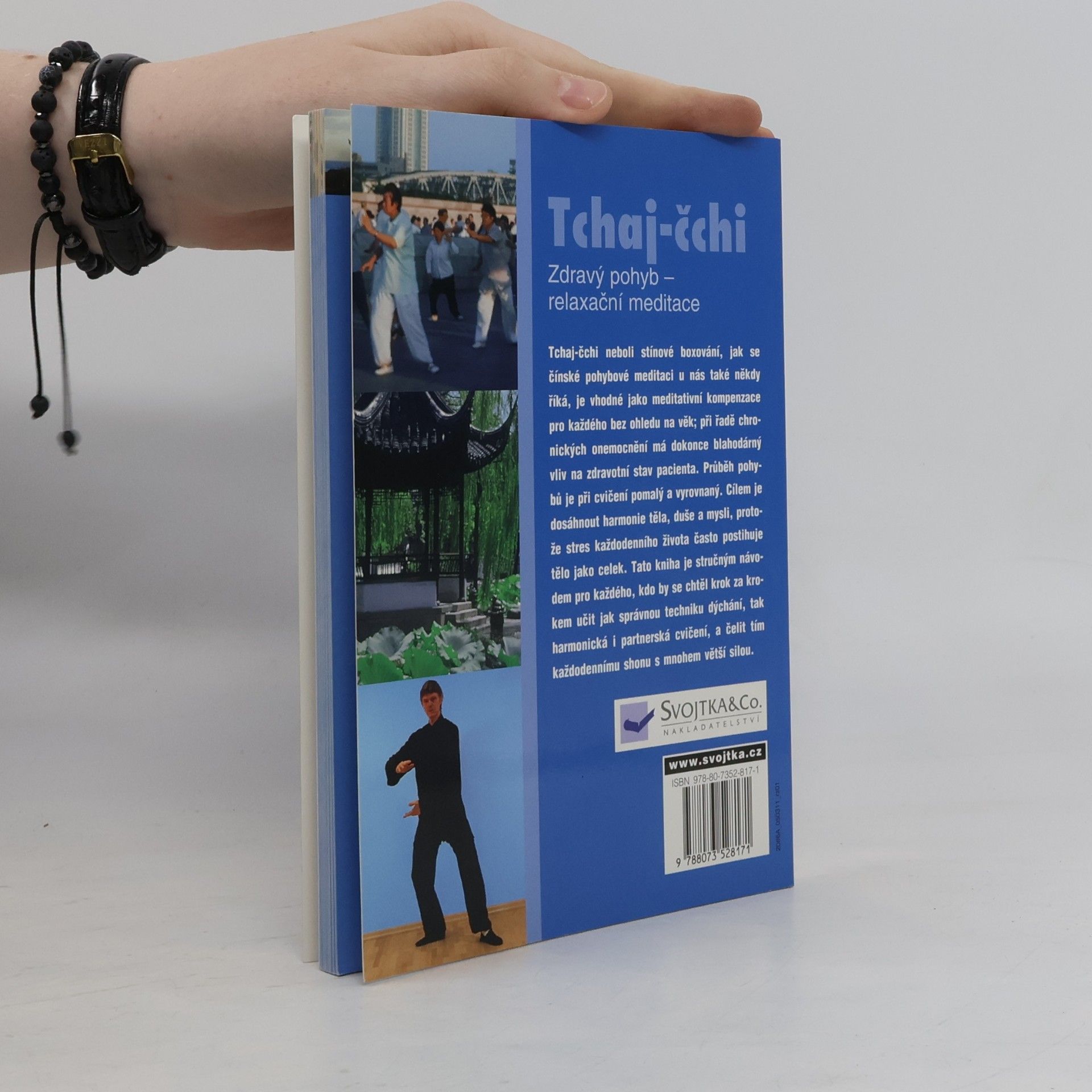 Kolektiv autorů Tchaj-čchi : zdravý pohyb - relaxační meditace