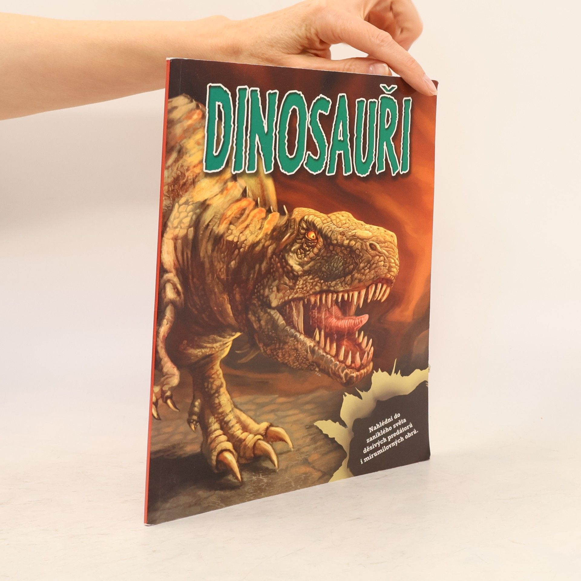 Kolektiv autorů Dinosauři: kniha & modely & samolepky