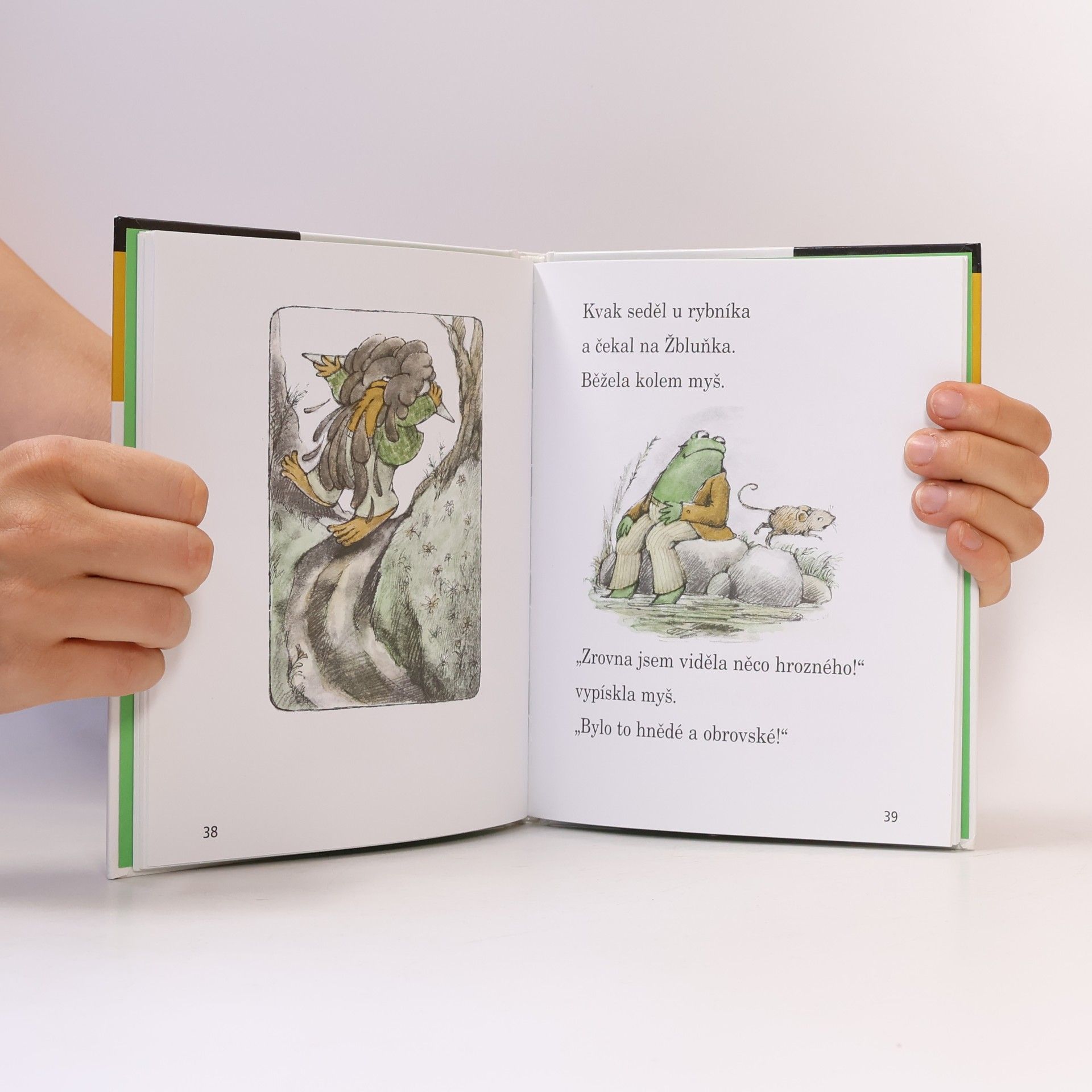 Arnold Lobel Kvak a Žbluňk od jara do Vánoc