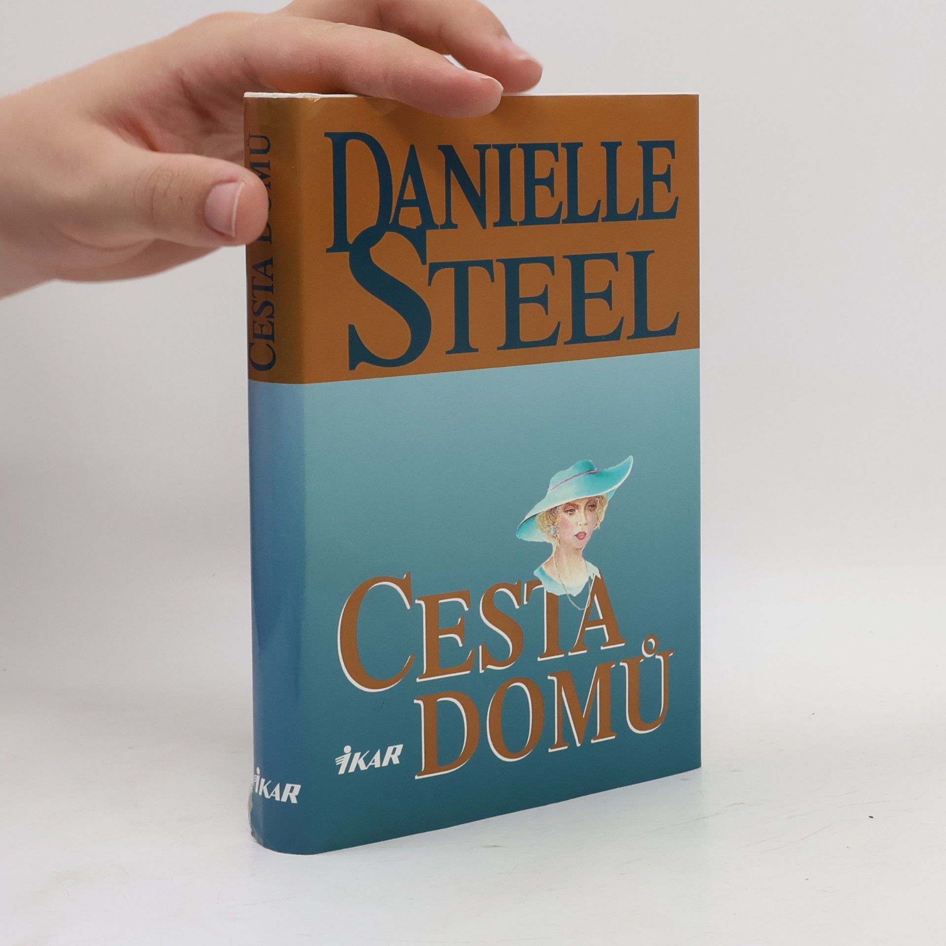 Danielle Steel Cesta domů