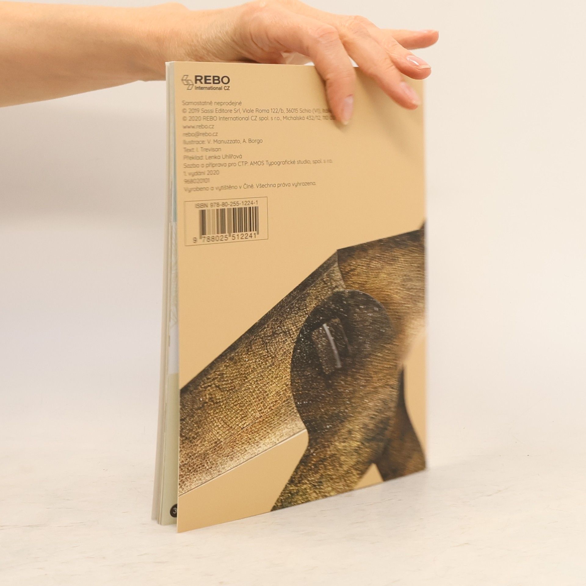 Autorenkollektiv Tyrannosaurus