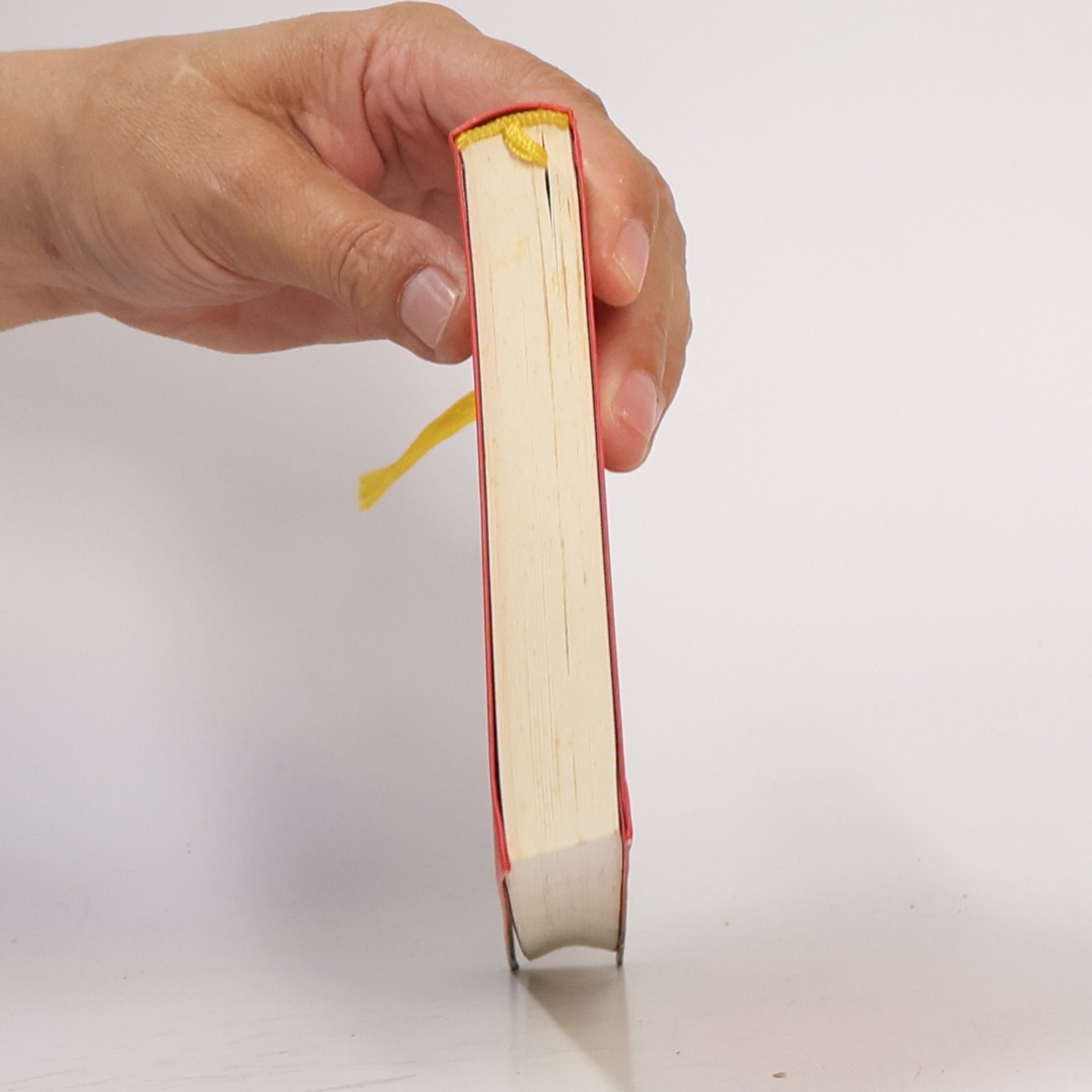 Anselm Grün Die Bibel verstehen