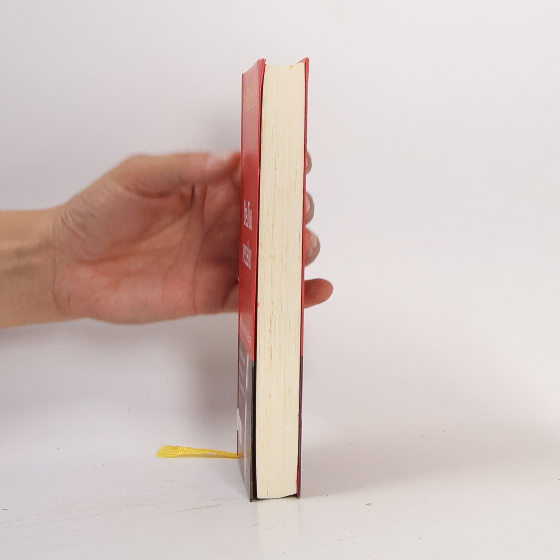 Anselm Grün Die Bibel verstehen