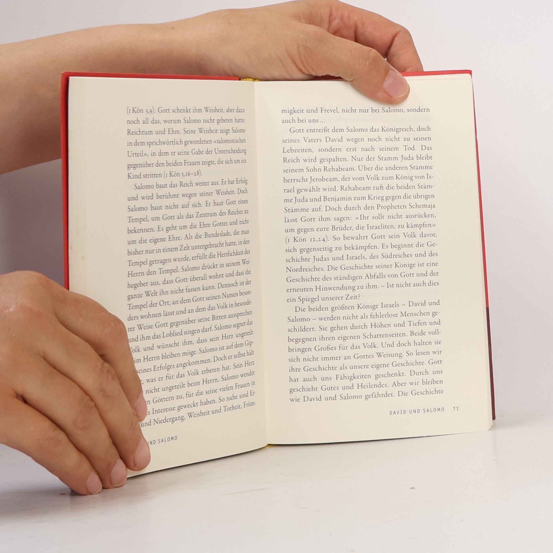 Anselm Grün Die Bibel verstehen