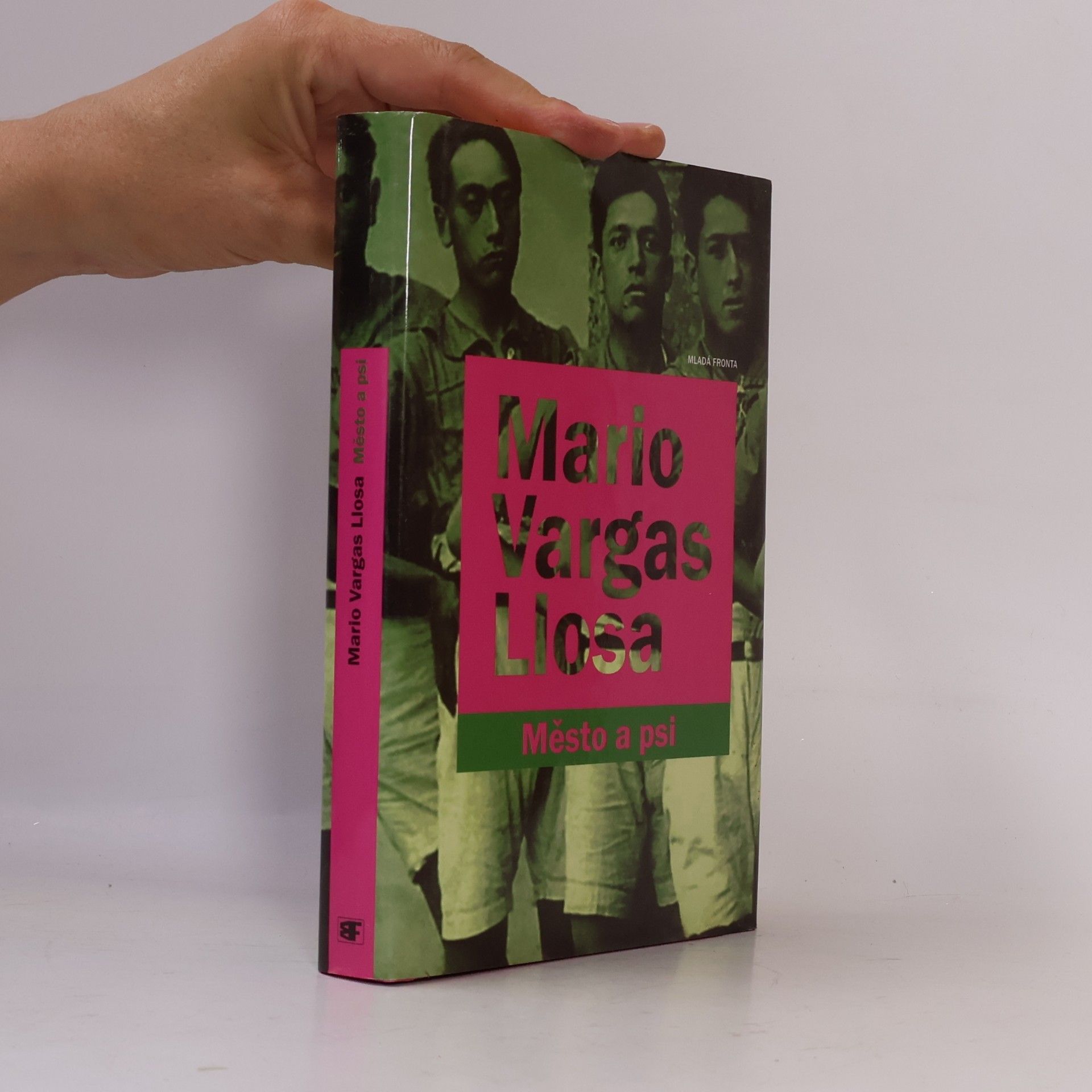 Mario Vargas Llosa Město a psi