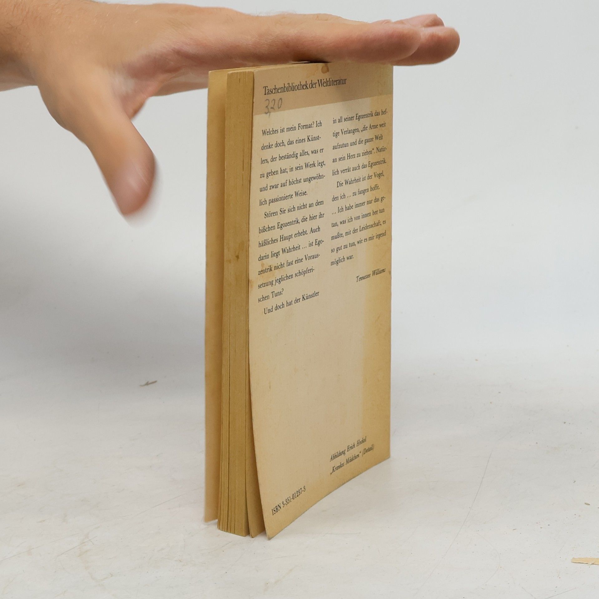Tennessee Williams Glasporträt eines Mädchens