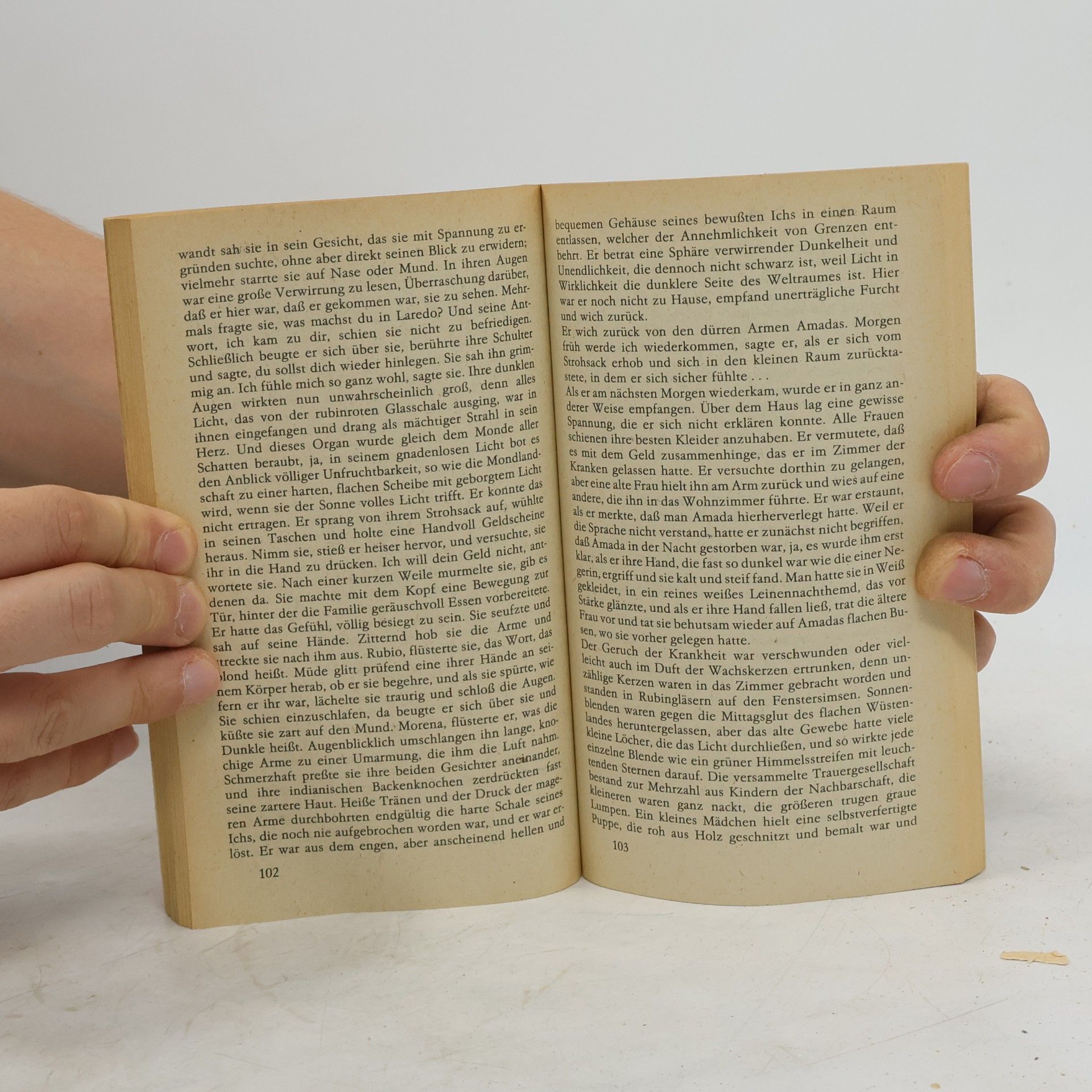 Tennessee Williams Glasporträt eines Mädchens