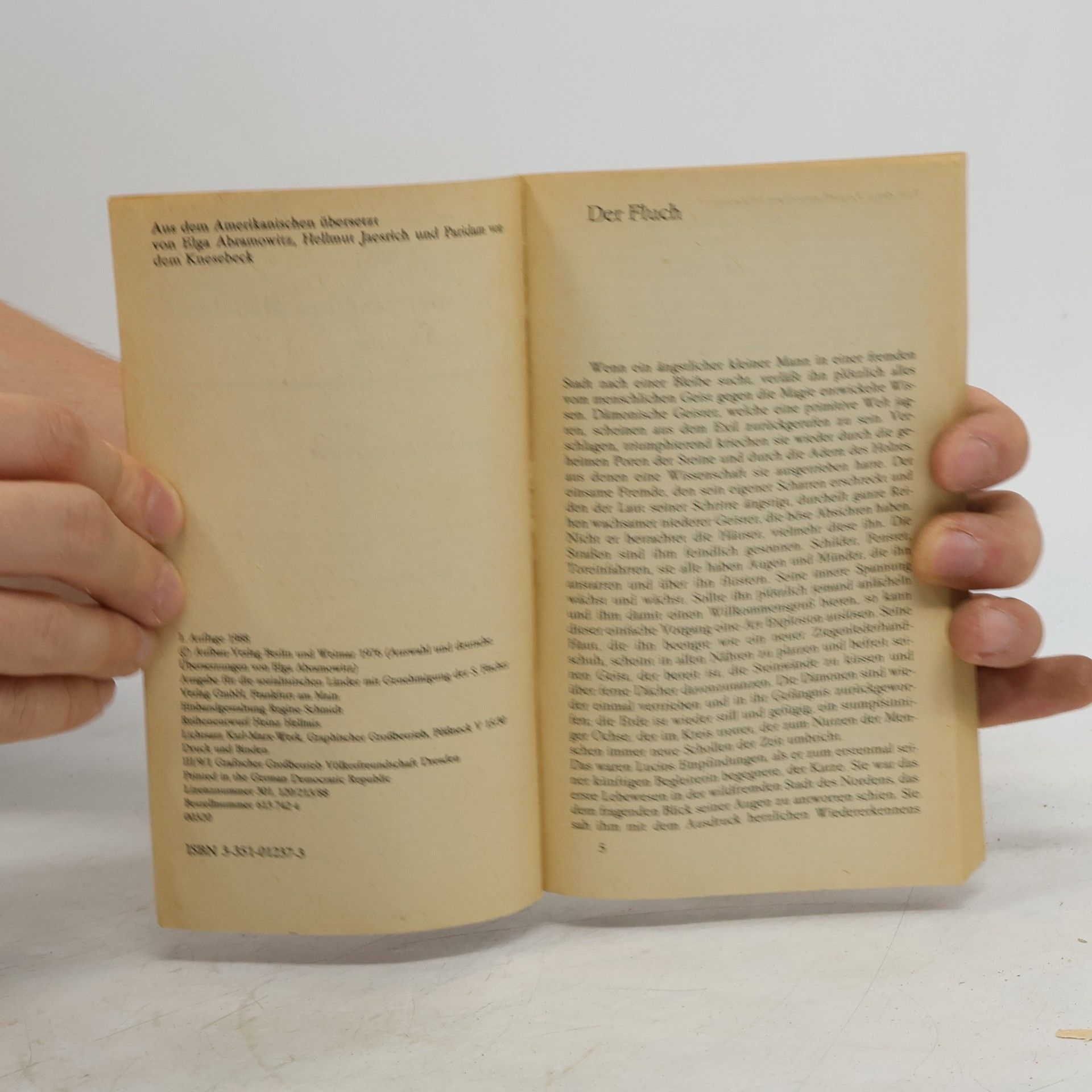 Tennessee Williams Glasporträt eines Mädchens