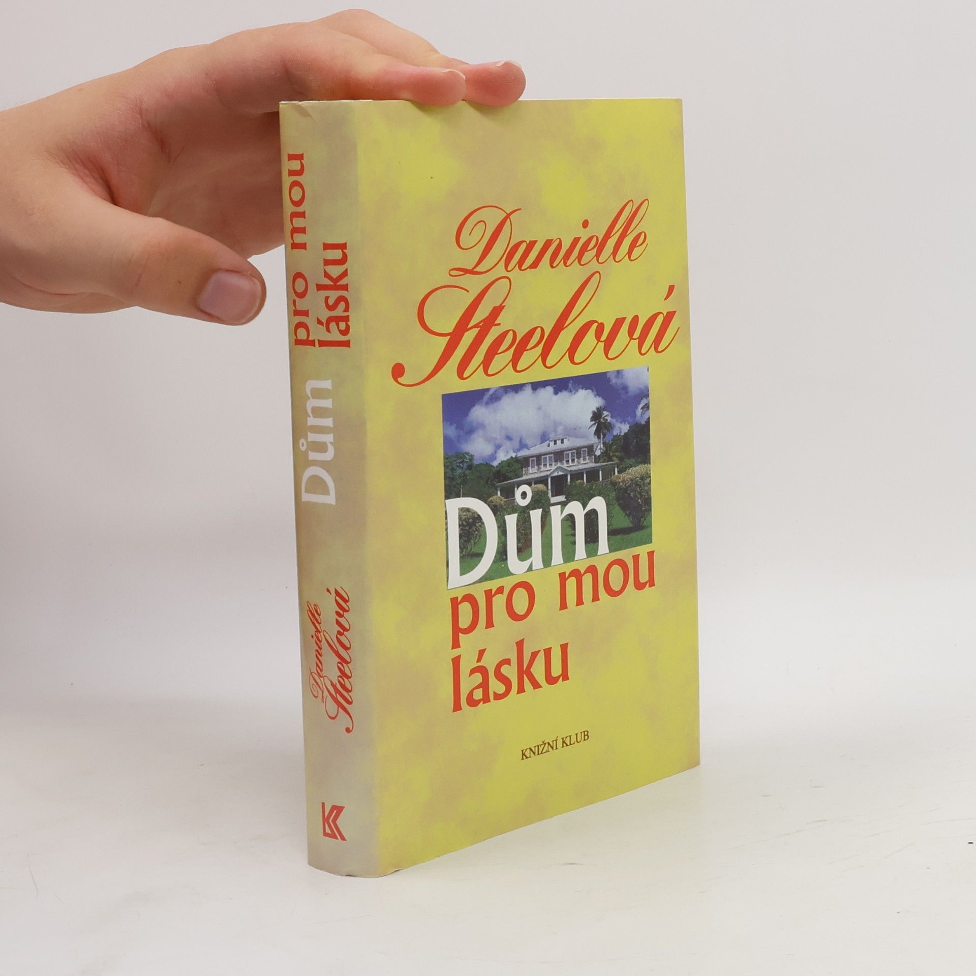 Danielle Steel Dům pro mou lásku